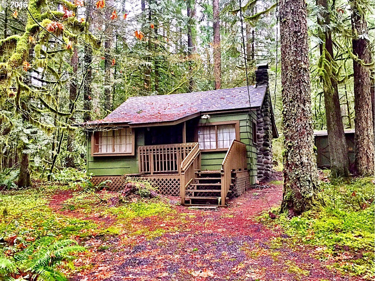 Cabin's. Хижина гномов, Британская Колумбия. Домик лесника Канада. Домик лесника Зеленогорск. Тини Хаус в лесу.