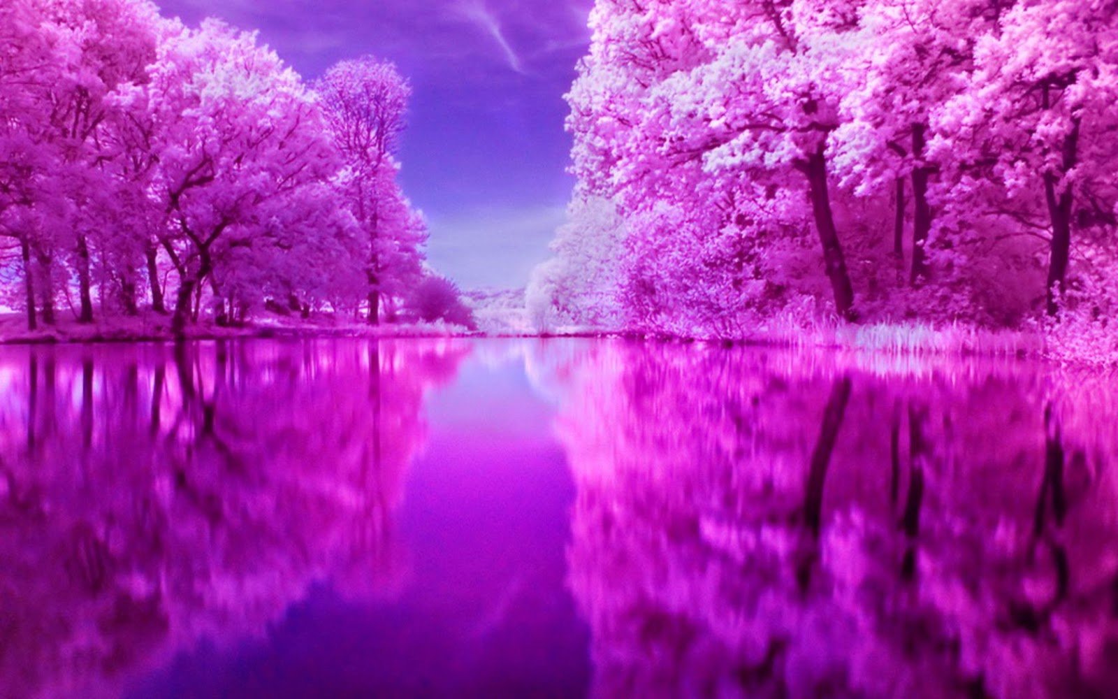 Красивенькие картинки. Розовая природа. Красивый пейзаж в розовых тонах. Фиолетовая природа. Красивый фиолетовый.