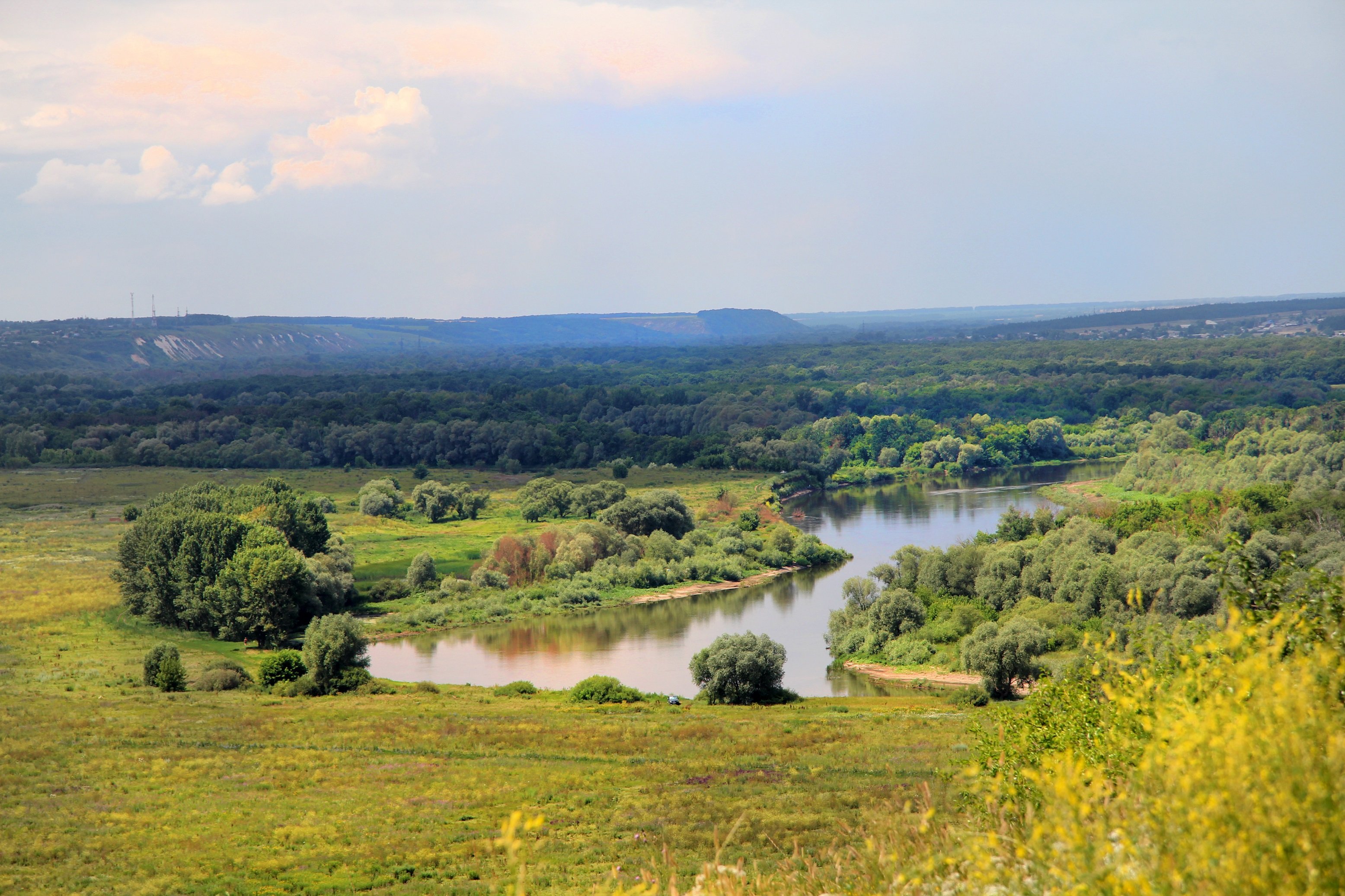 Воронеж воронежская обл. Курск равнина реки. Репьевка Воронежской природа. Природа Воронежа и Воронежской области. Лесостепь Липецкой области.