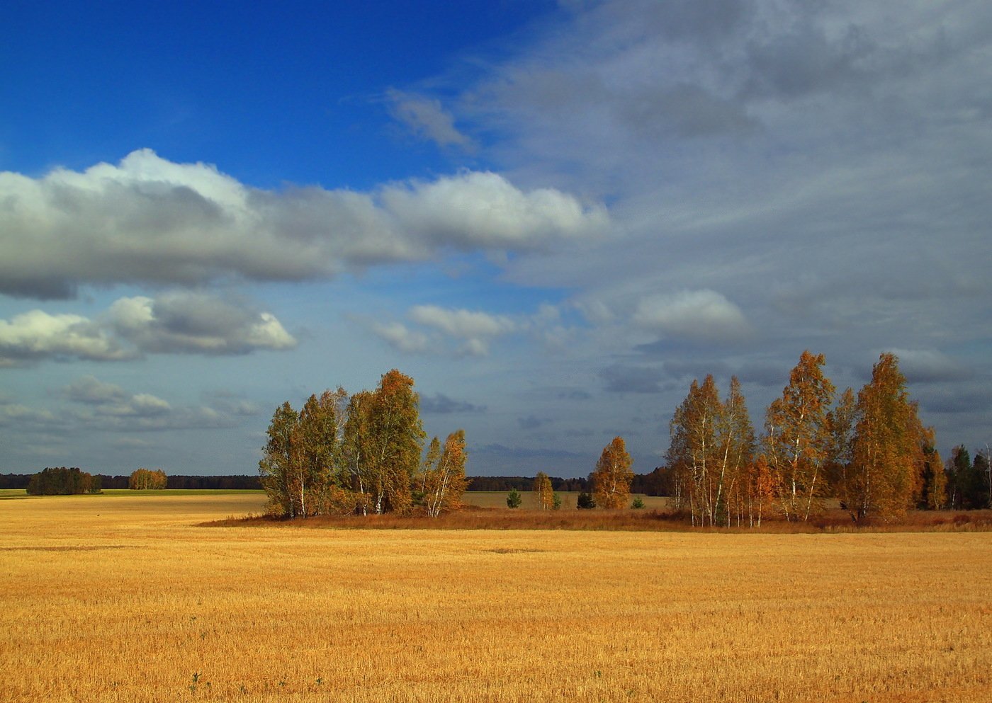 Курганская область фото