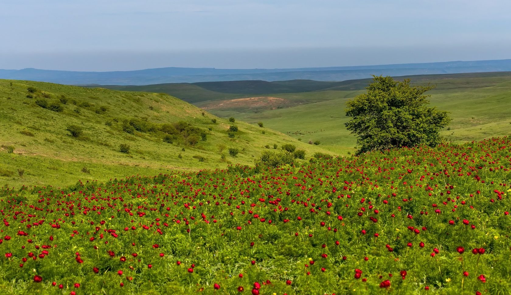 Картинки ставропольский край