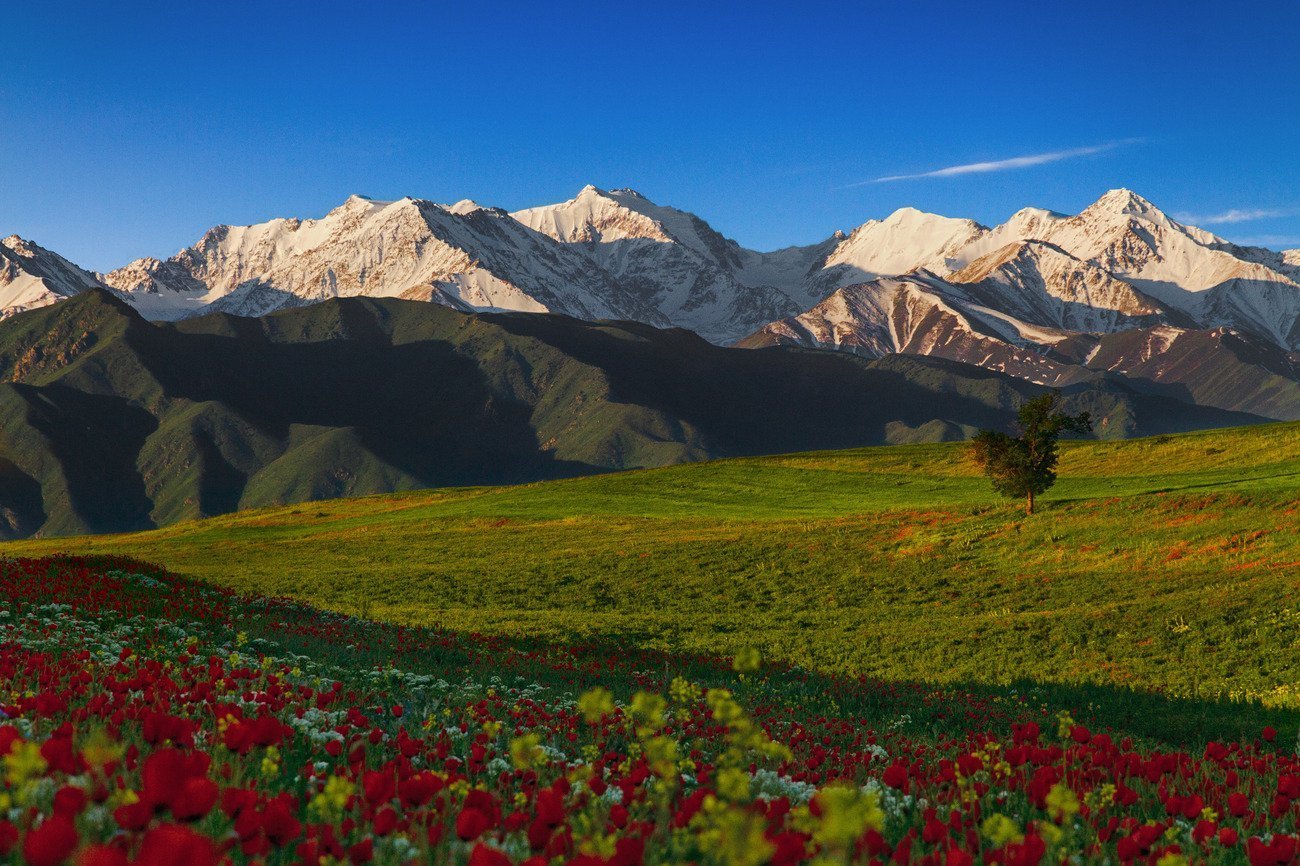 Кыргызстан Фото