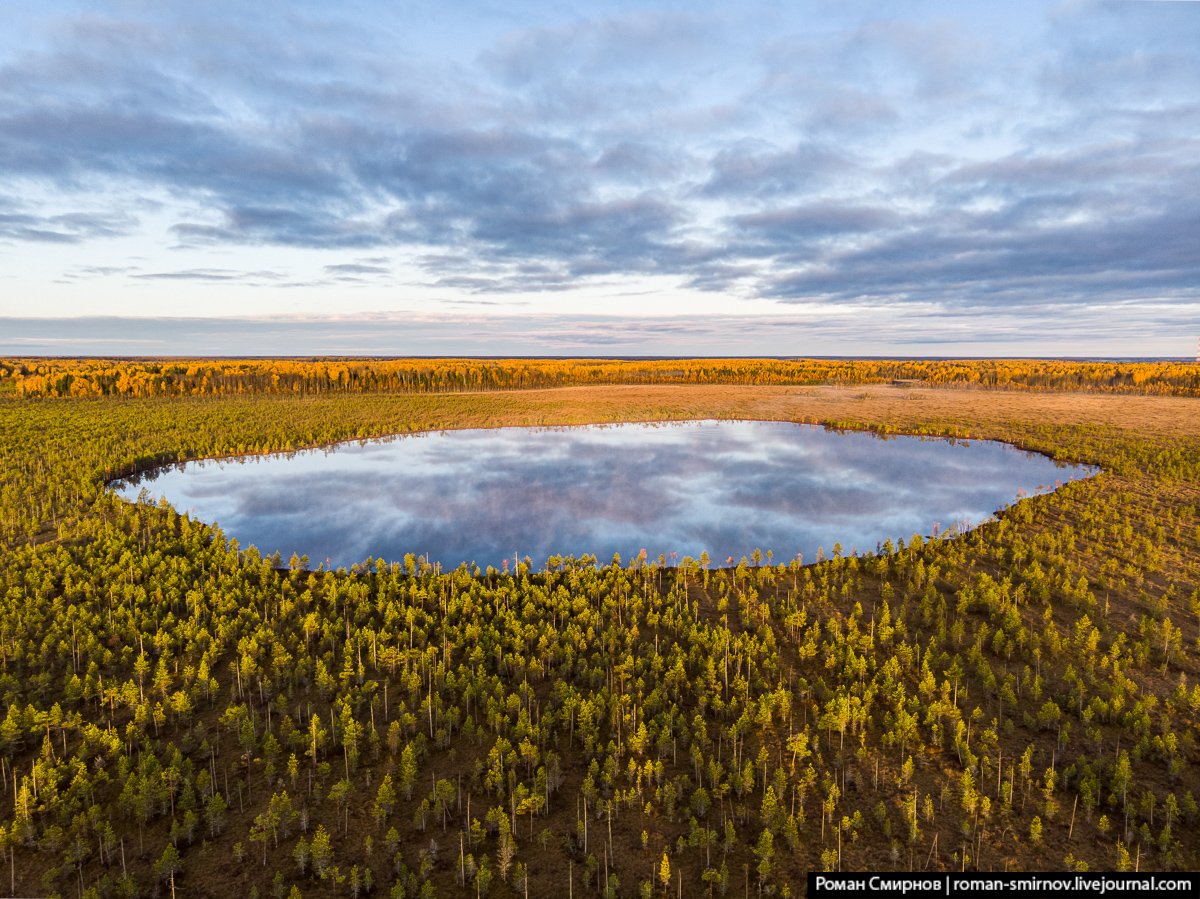 Болото с высоты. Болото Васюган. Васюганские болота, Западная Сибирь. Васюганское болото Томской области. Васюганские болота заповедник.