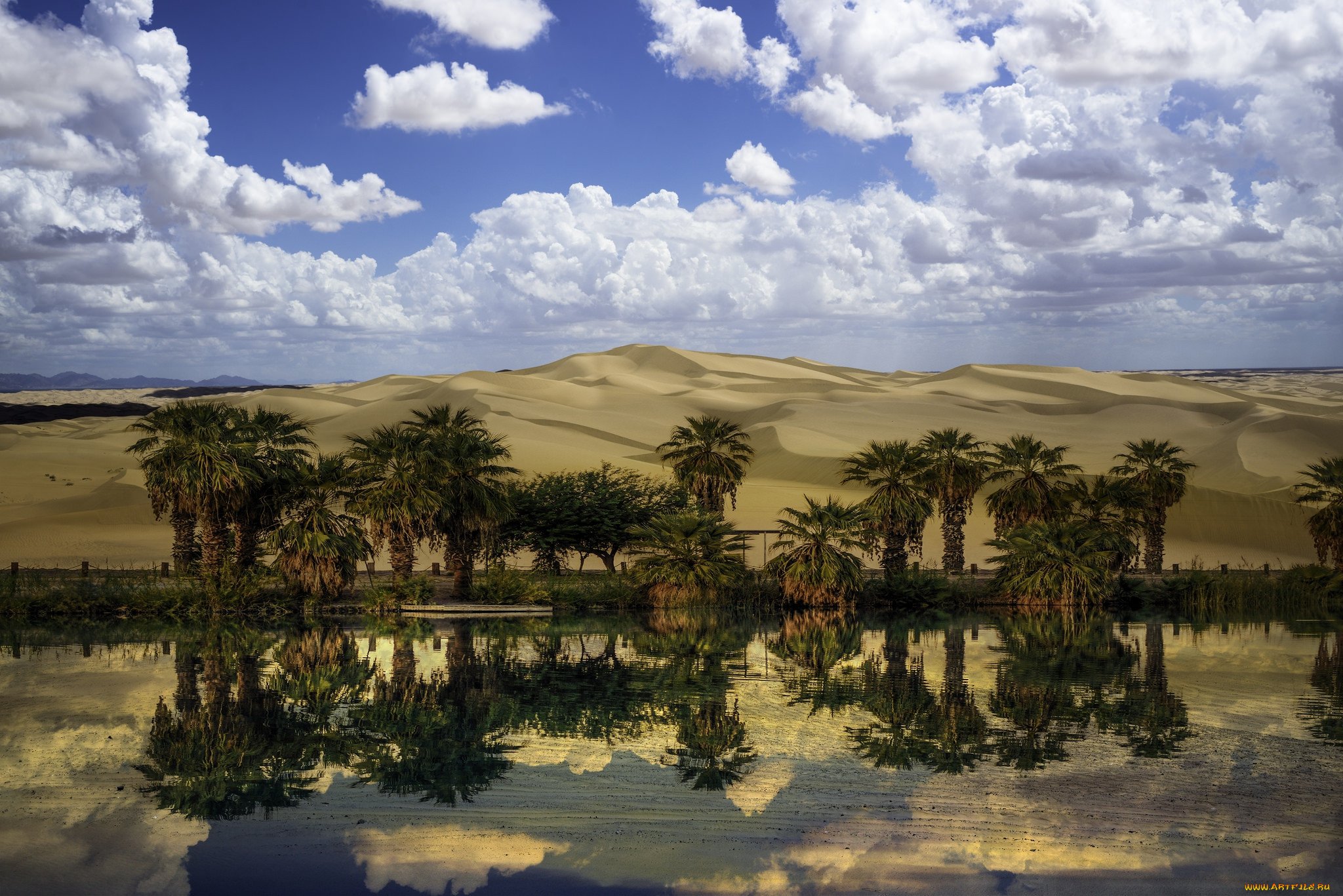 Покажи оазис. Оазис Убари. Оазис в пустыне Африки. Оазис в Калмыкии. Красивый Оазис в пустыне.