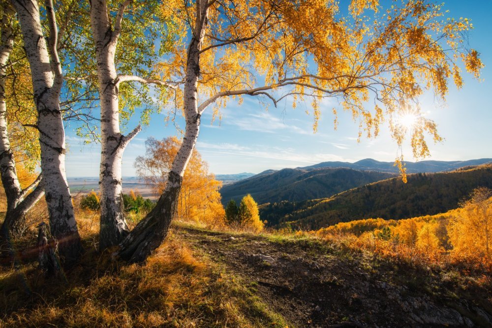 Горы в Белокурихе Алтайского края осенью