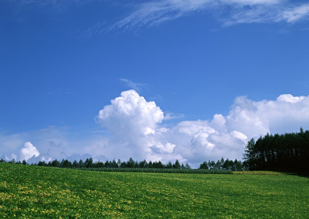 Природа облака