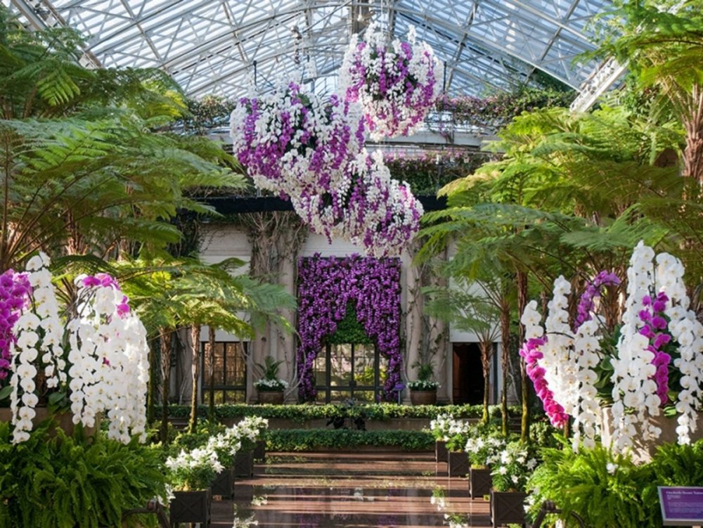 Сингапур Орхидейная оранжерея