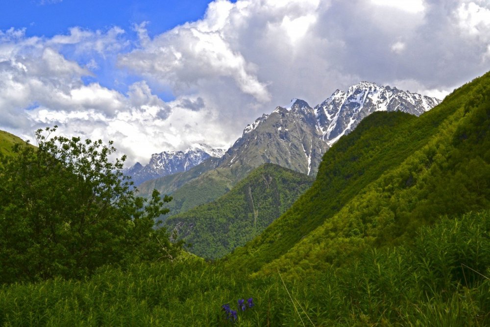 Горы Северной Осетии Дигорское ущелье