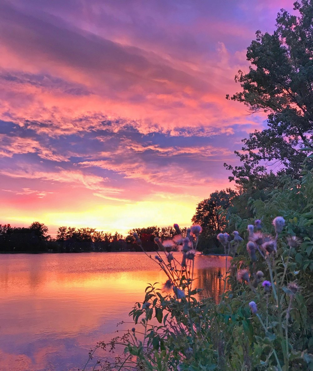 Летний вечер на озере Раскраска картина по номерам на холсте KTMK-92452-22-100x125