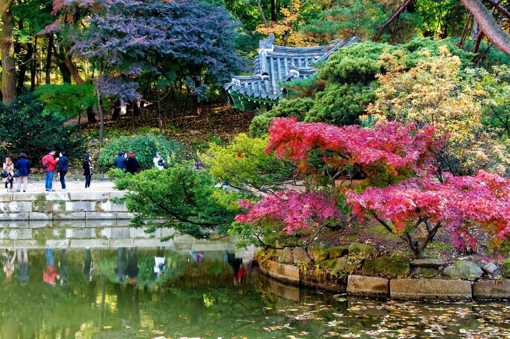 Сад Хувон Южной Кореи