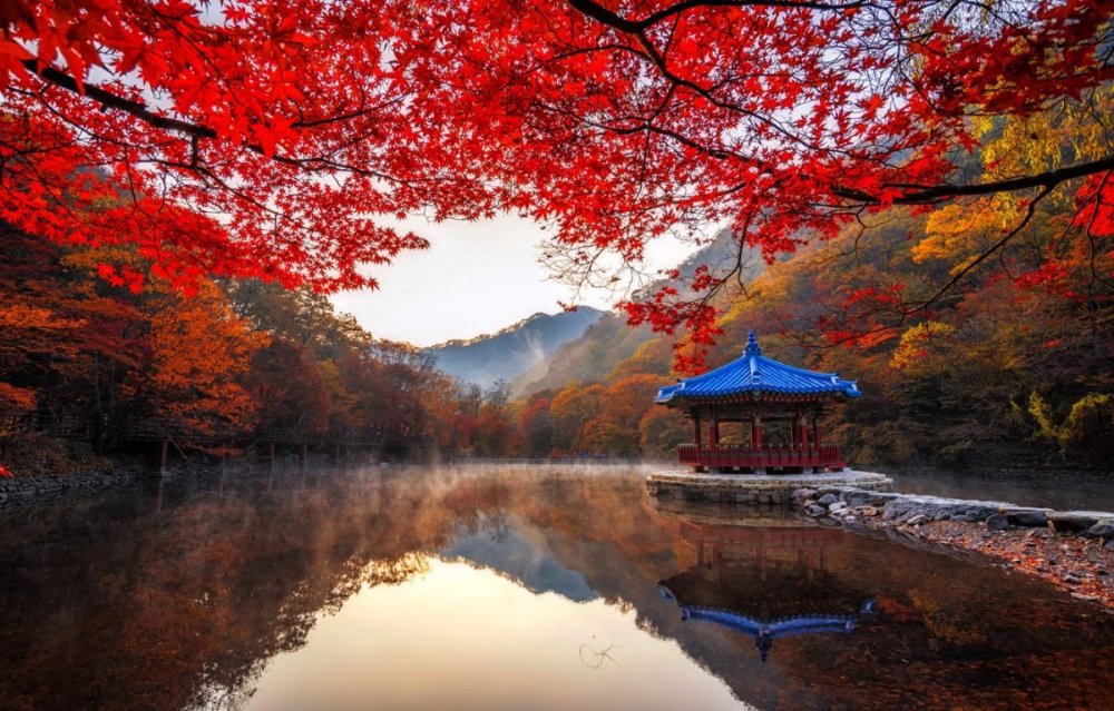 Корея Южная природа осень