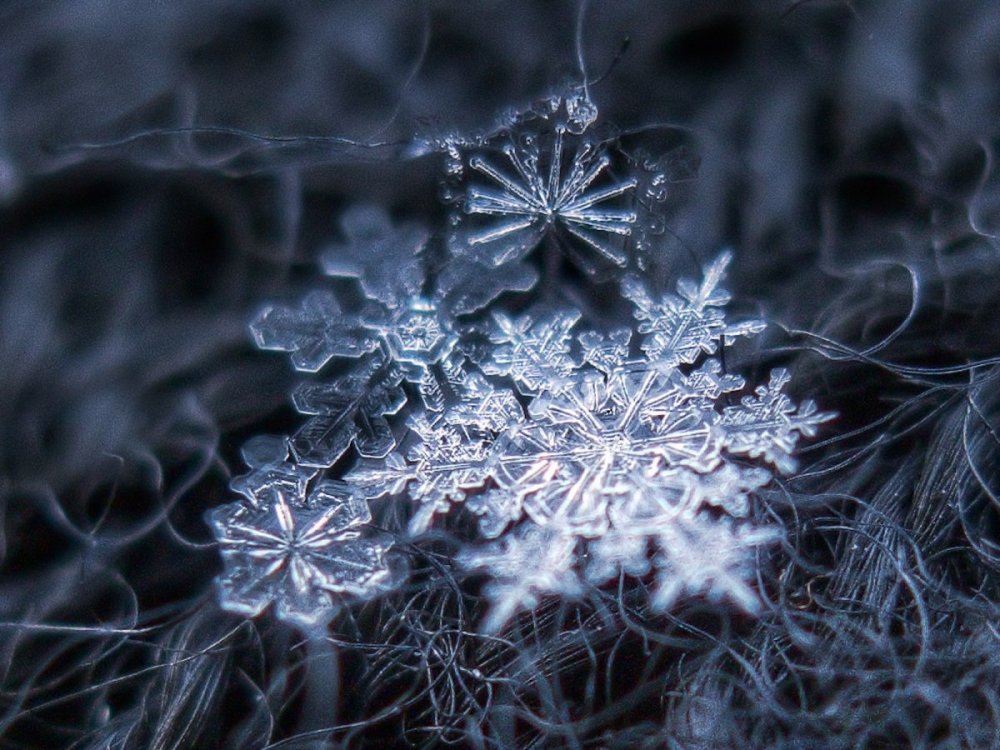 Алексей Клятов фотографии снежинок