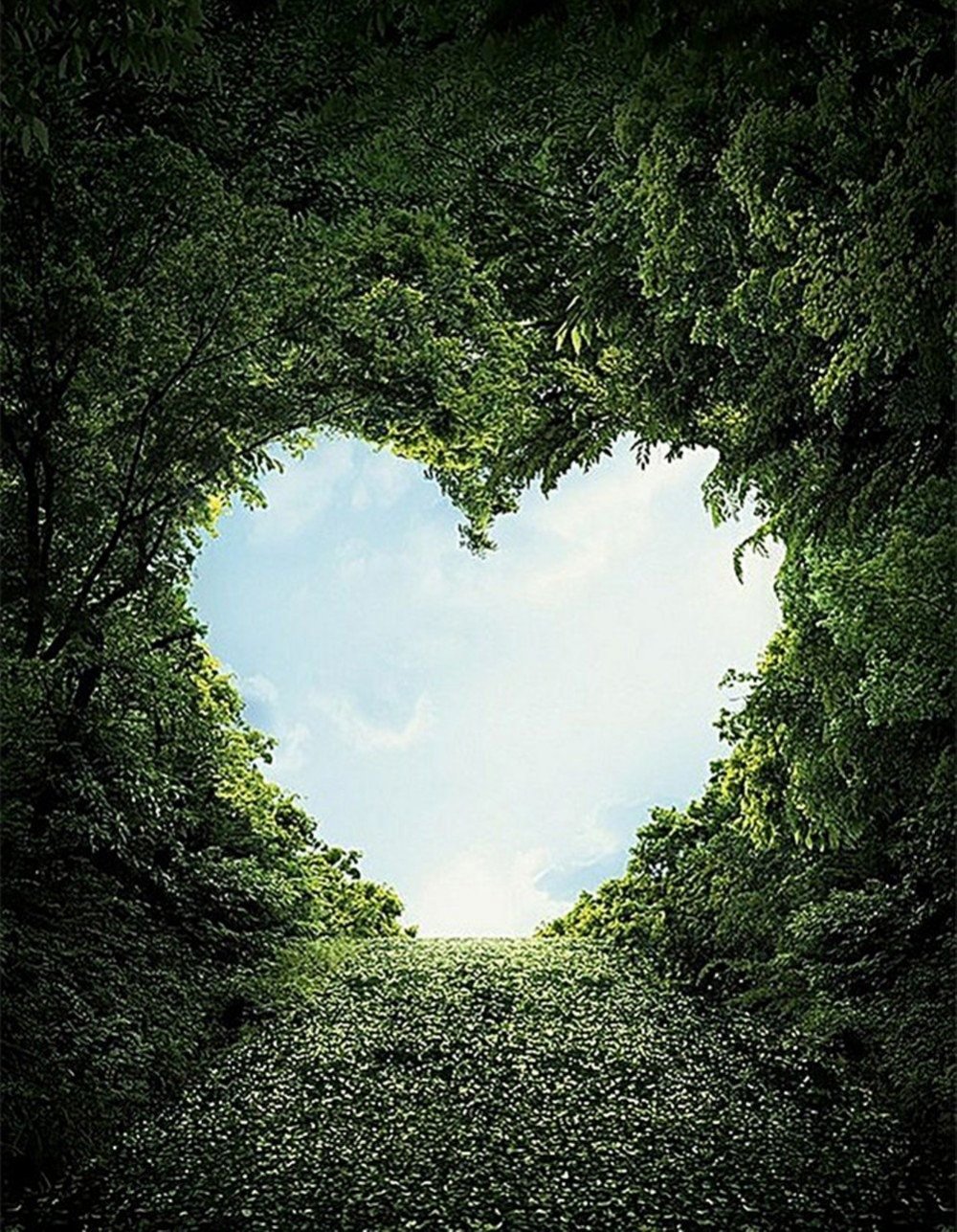 Любовь к природе
