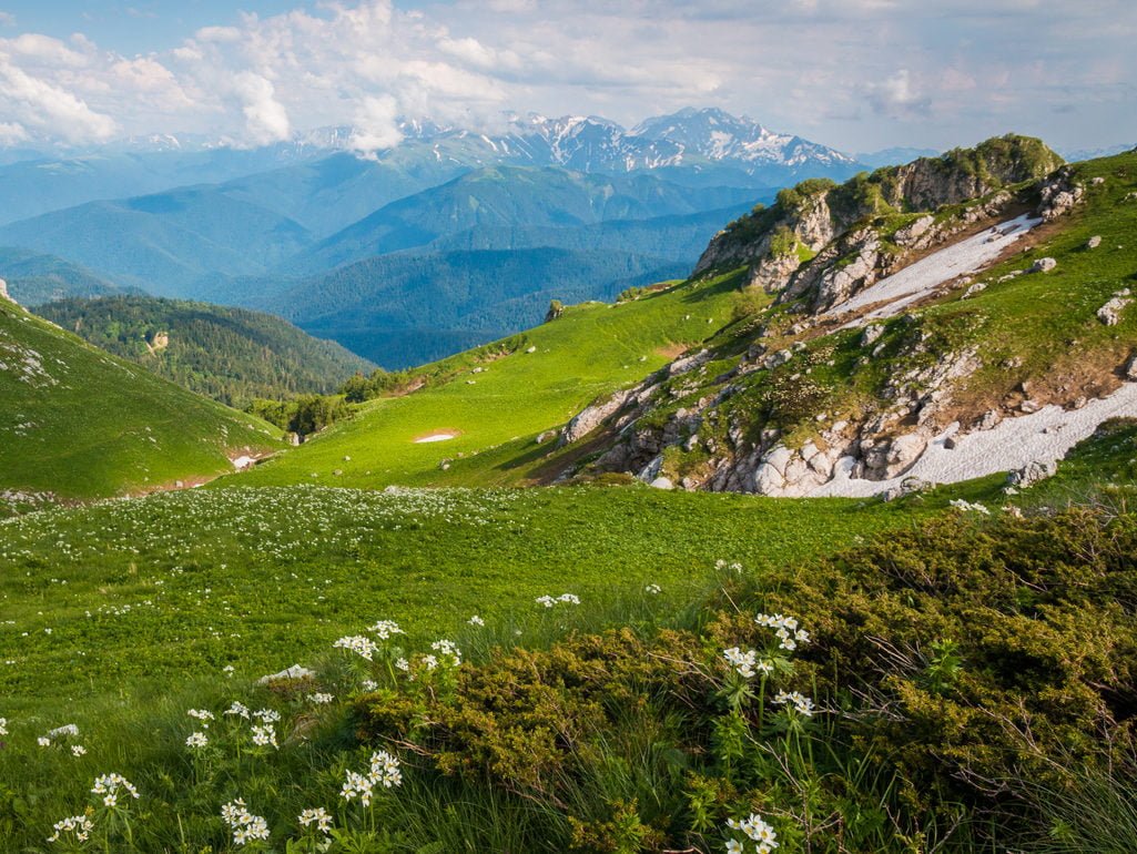 Кавказский заповедник Лагонаки панорама