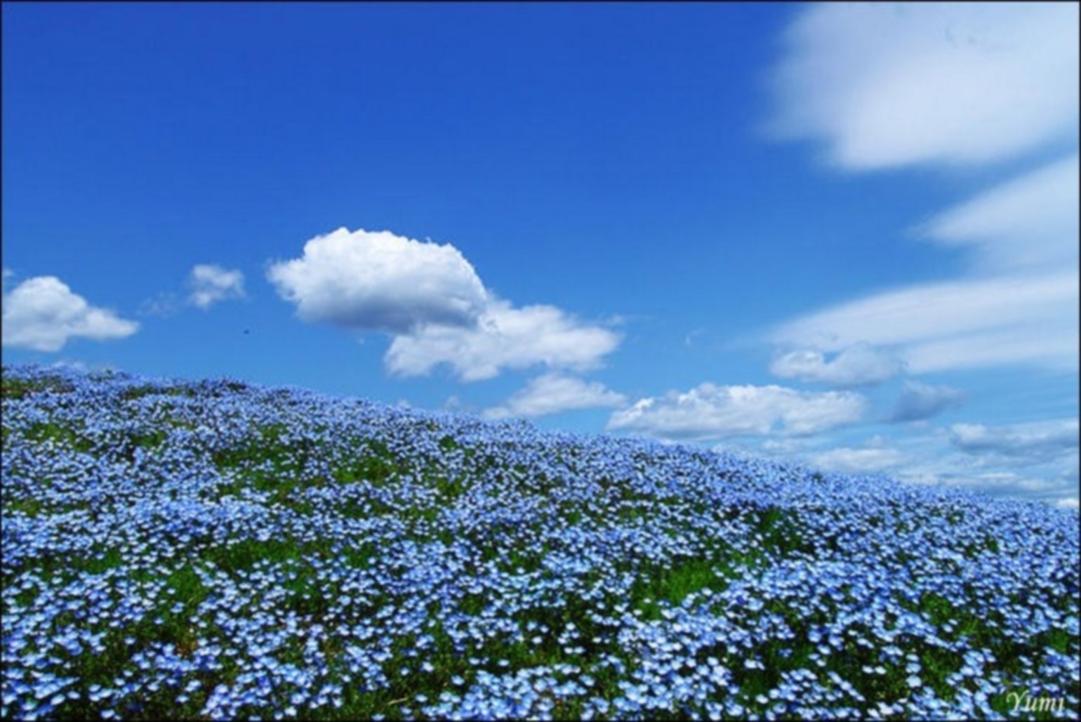 Голубые синие небо и ручьи в синих