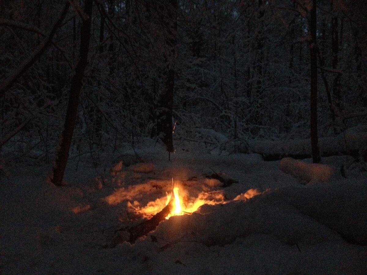Костер зимой в лесу