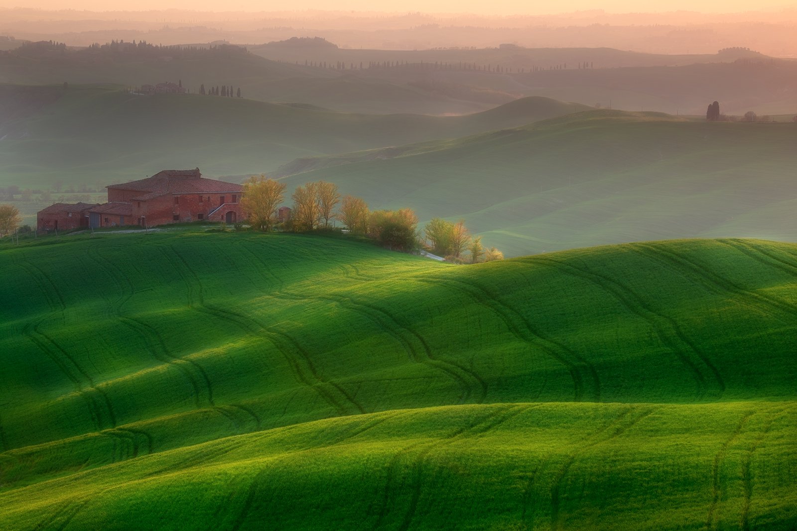 Холмы фото. Тоскана Италия Луга. Зеленые холмы Тосканы. Италия, зеленые поля Тосканы.