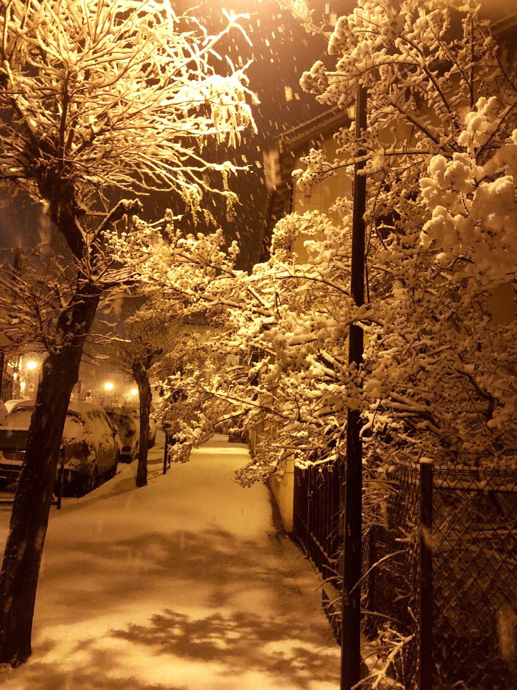ночной зимний город фото