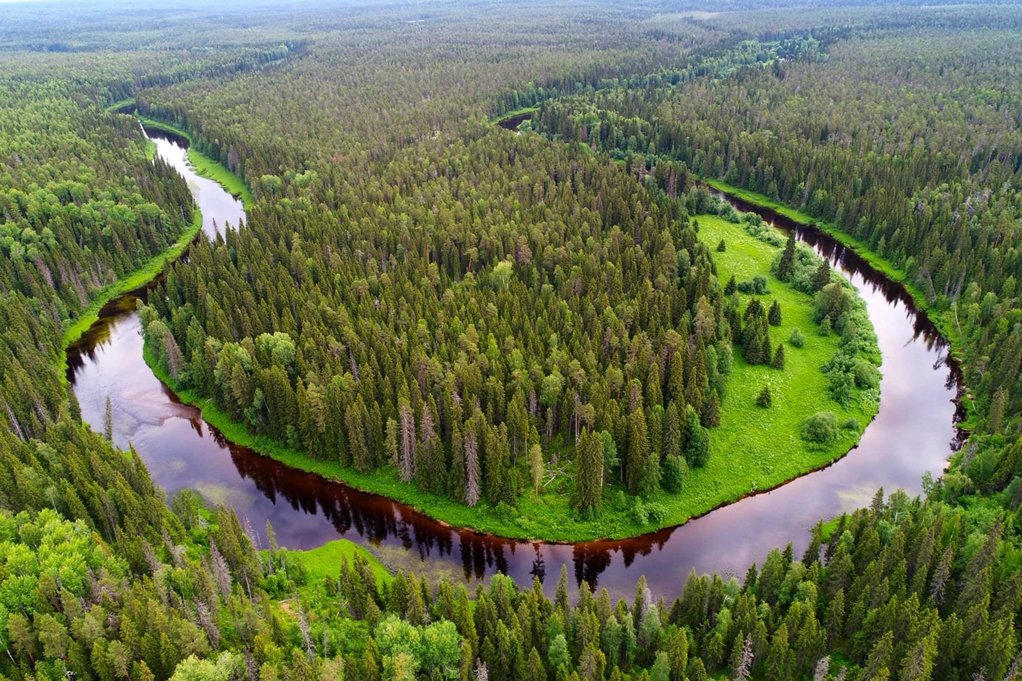 Russia is a of forests