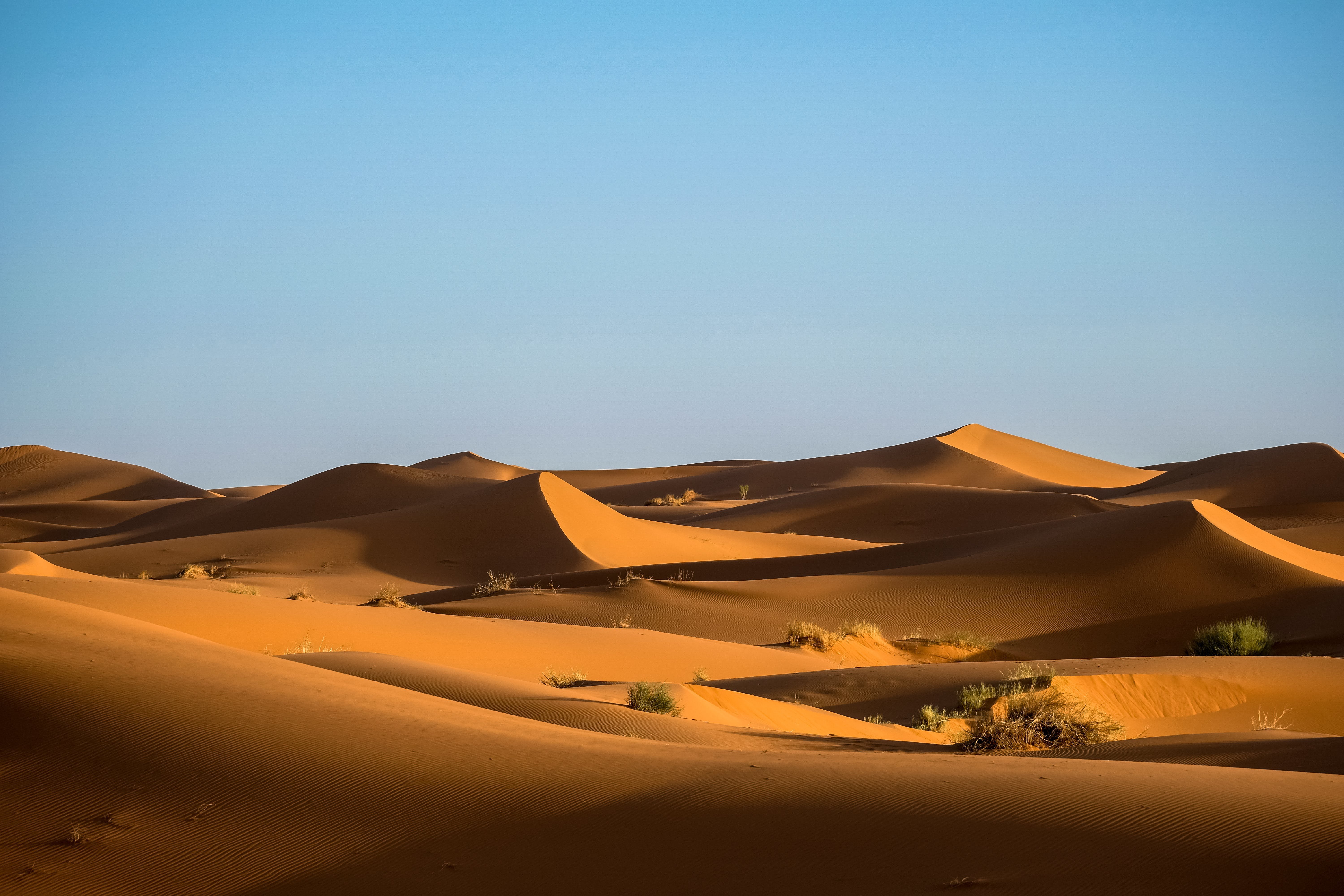 Пустыня. Пустыня сахара Барханы. Намиб Оазис. Регистан пустыня. Песчаная пустыня-эрг.