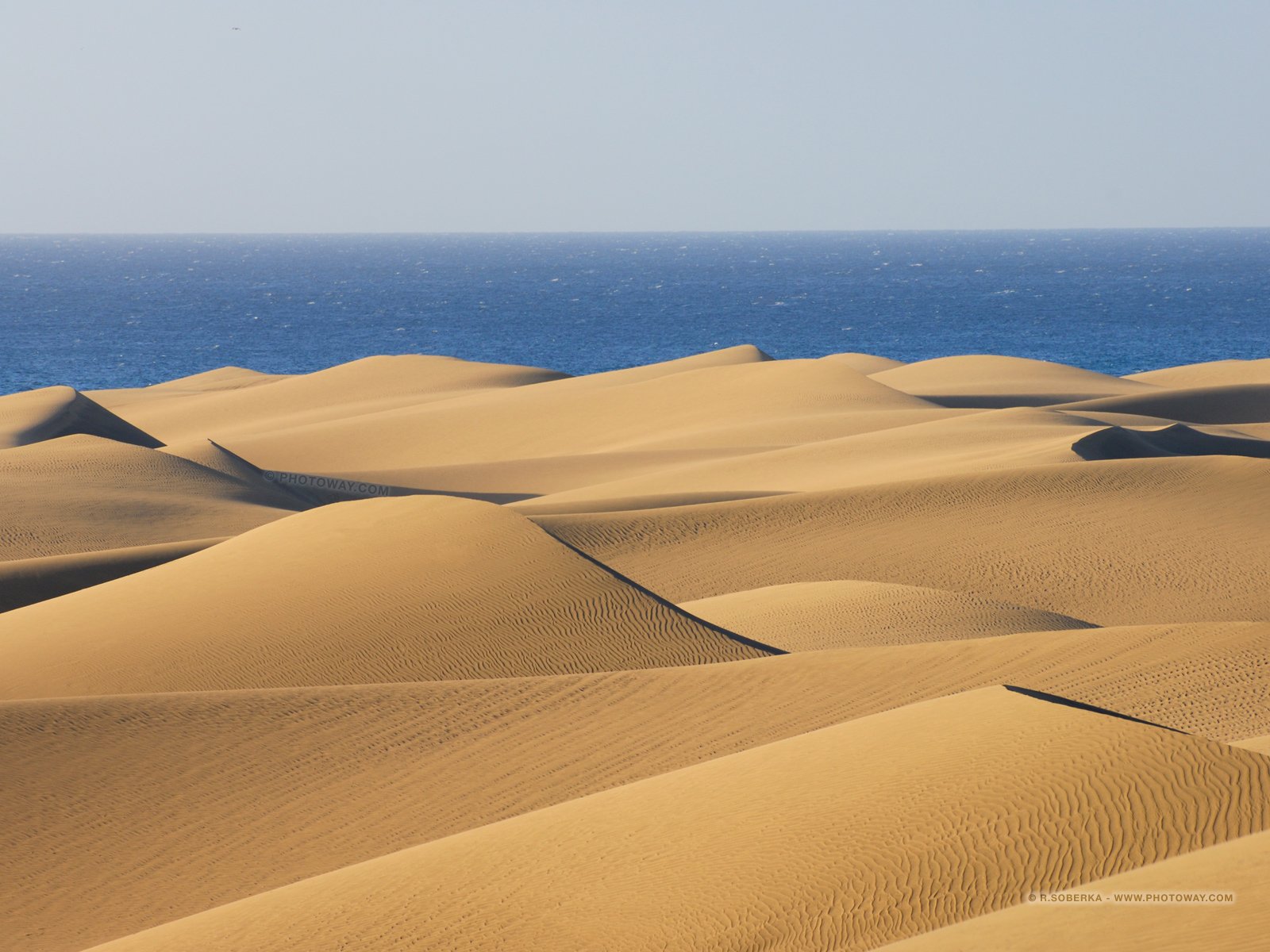 Барханы ханы. Песчаные Бугры дюны Барханы. Пустыня руб-Эль-Хали. Барханы Пески пустыня. Песчаные волны Дюна.