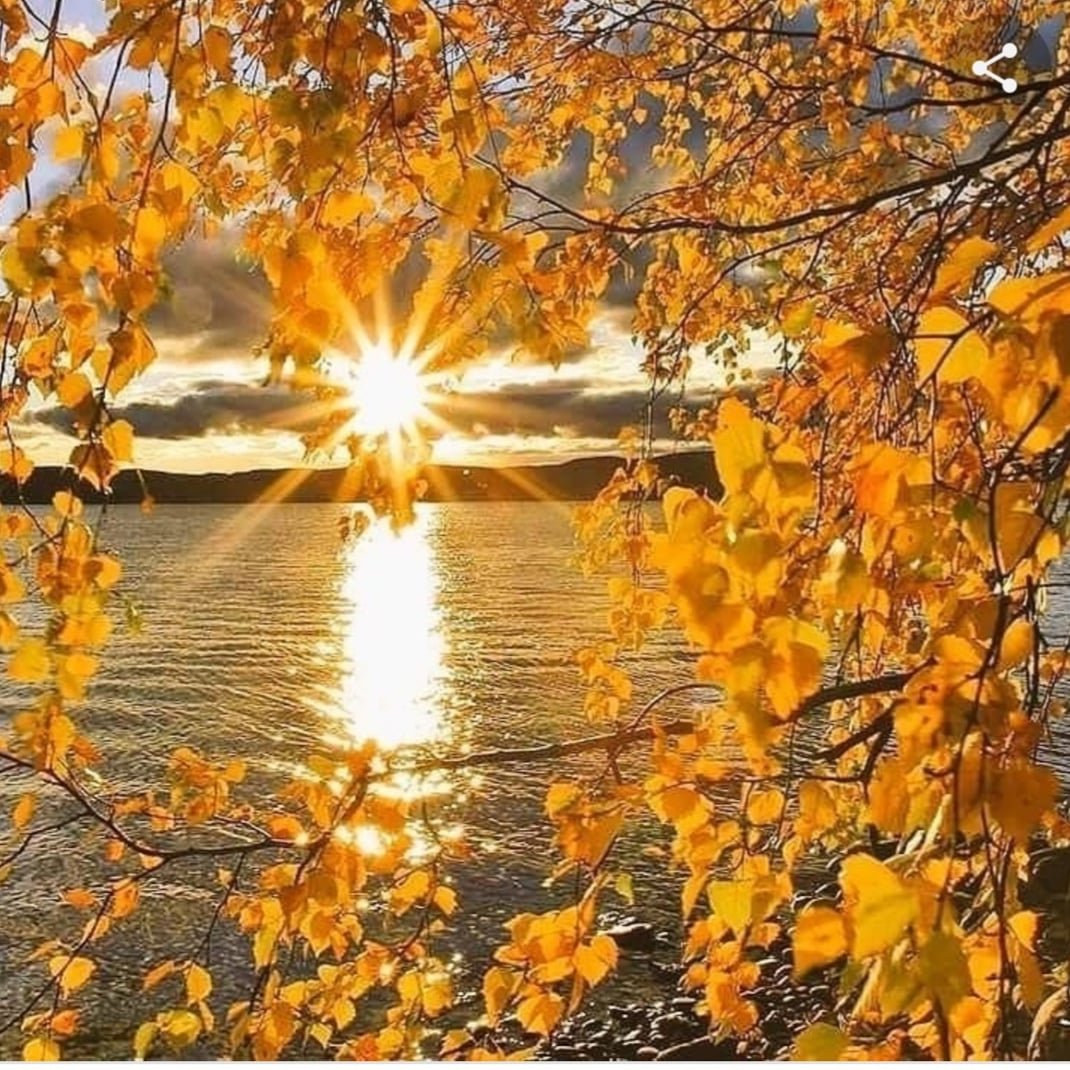 солнечный октябрь фото