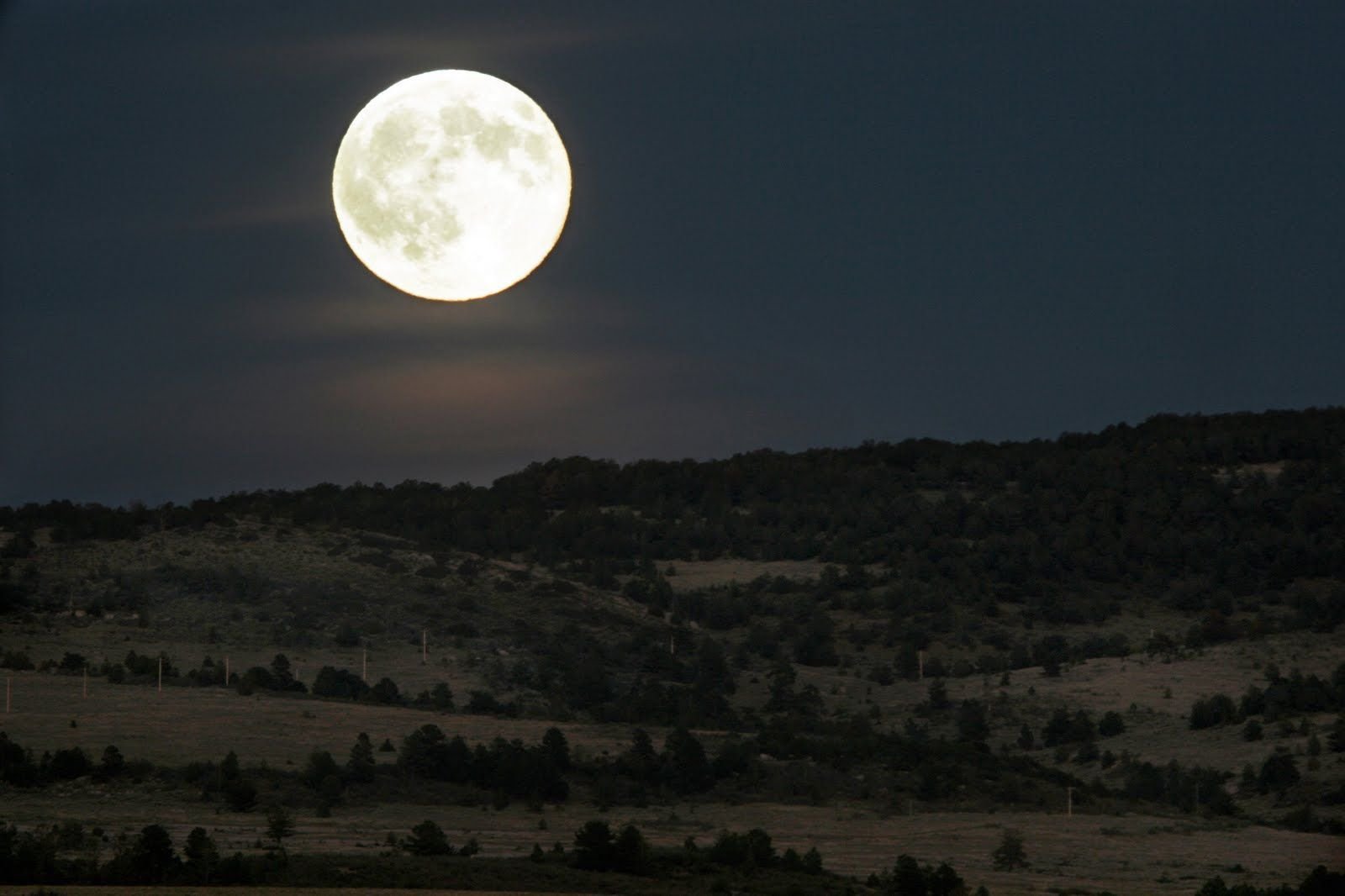 Почему луна круглая. Луна. Лунная ночь. Изображение Луны. Полнолуние.