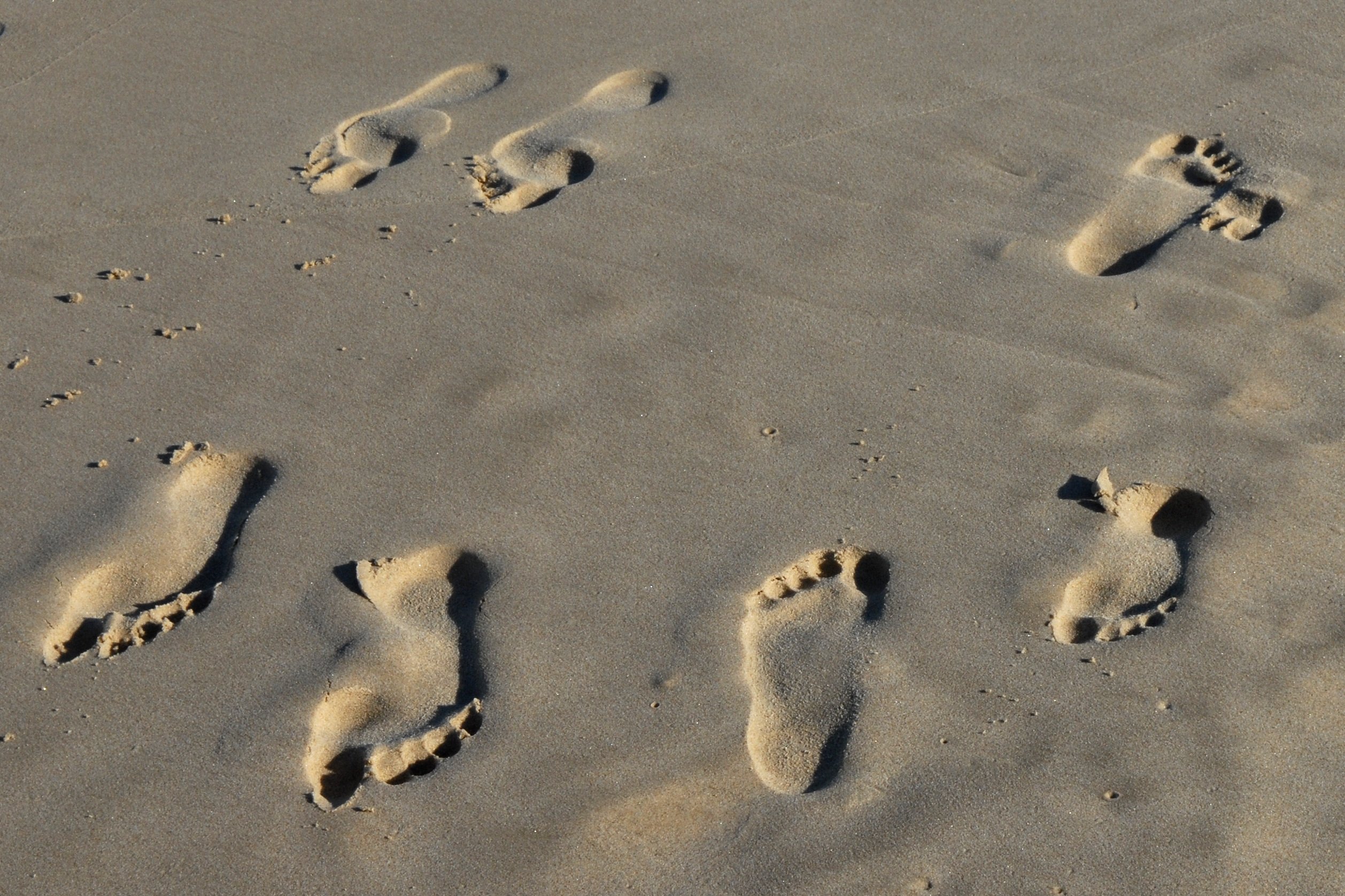 Следы на песке слушать. Джудит Леннокс следы на песке. Следы. Отпечаток на песке. Запутанные следы.