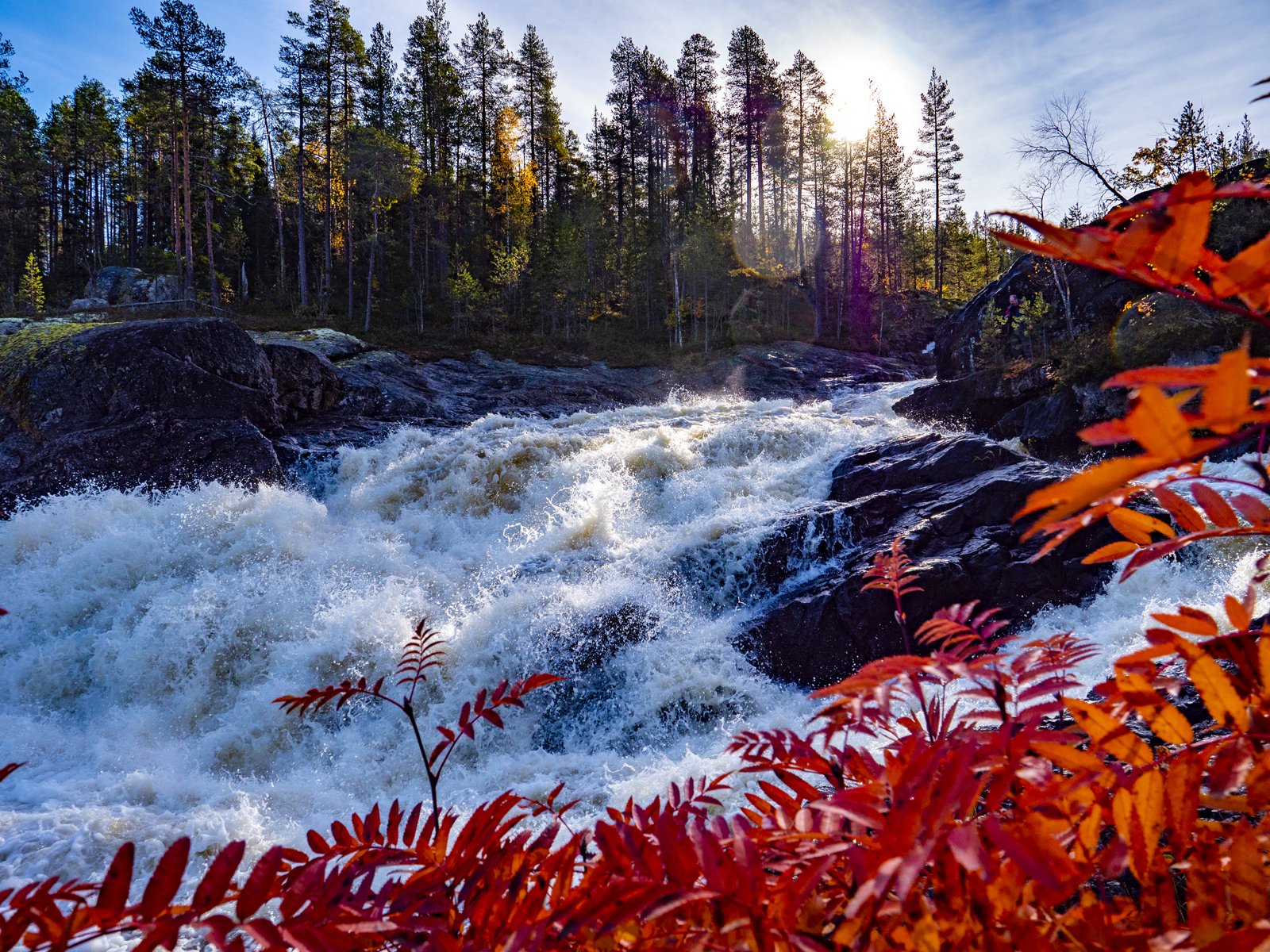 Карелия Кивач Золотая осень