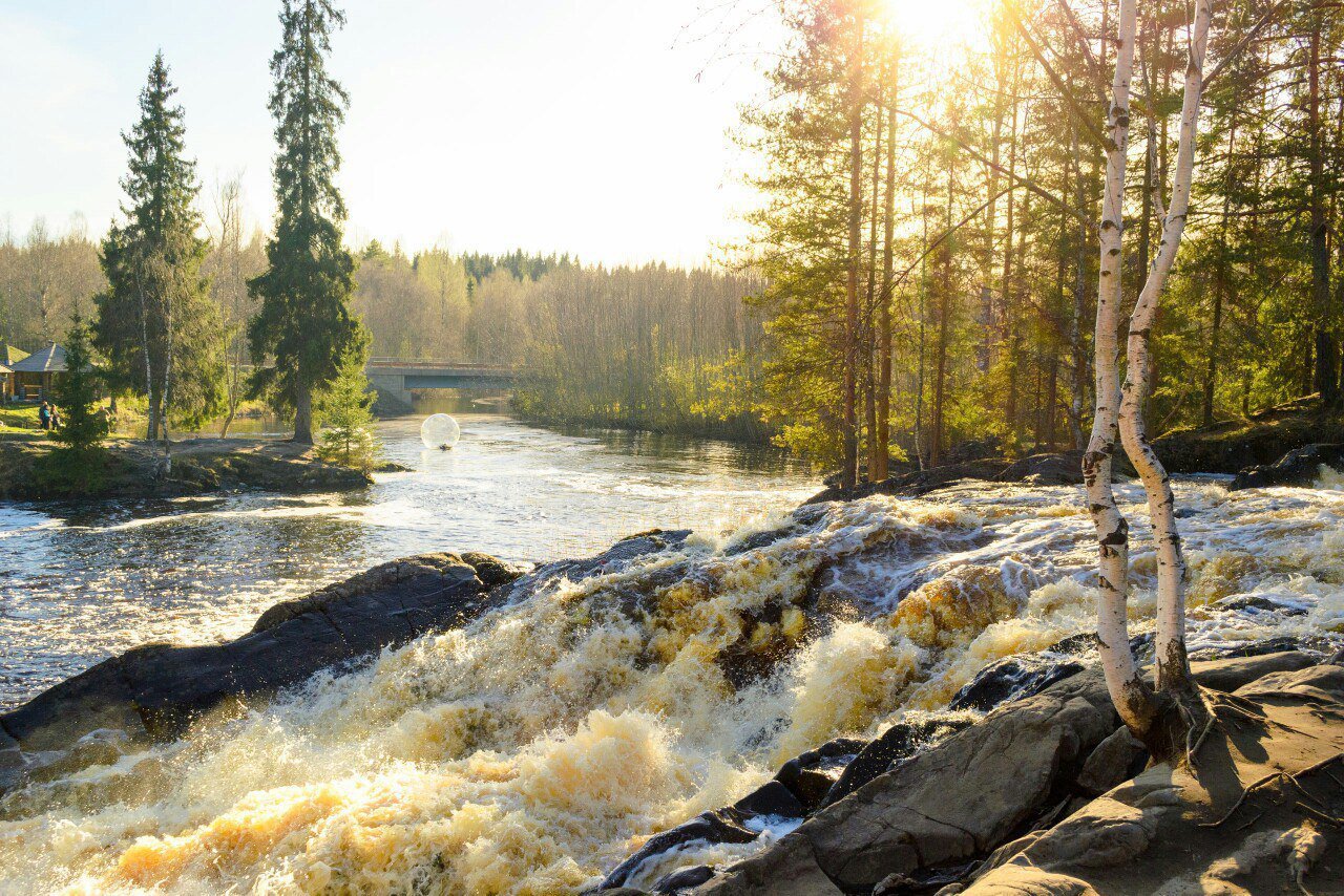 Иркутская область карелии. Карелия Тайга. Сегежа парк Карелия. Карелия в ноябре достопримечательности. Осень в Карелии Сегежа.