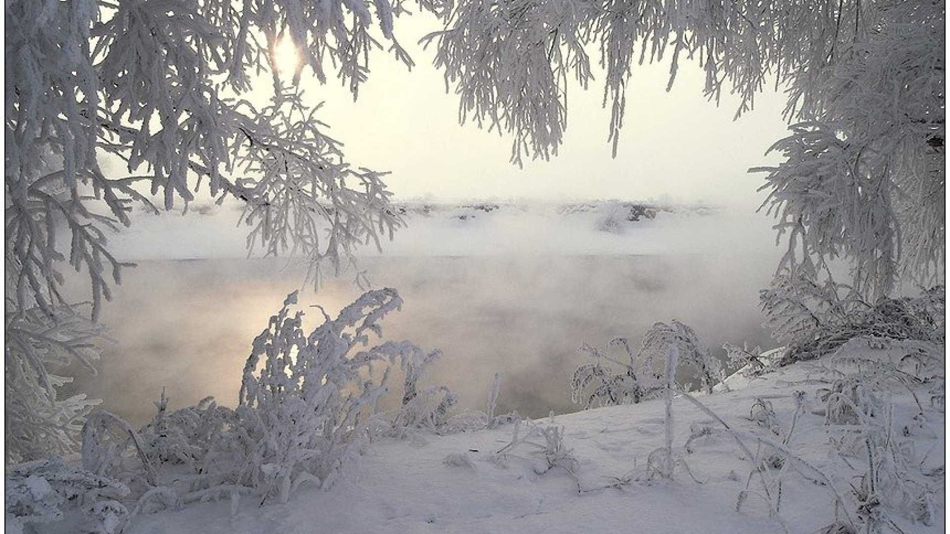 Свежий морозный воздух. Морозная зима. Зима Пурга. Февральская метель. Февральский пейзаж.