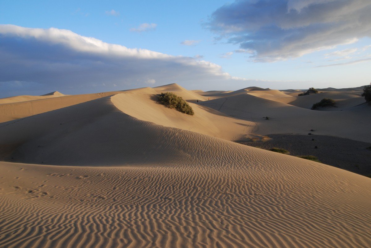 Песчаные дюны в Сычево