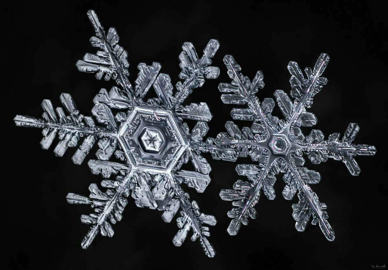 Рассмотреть снежинку. Формы снежинок. Снежинки разной формы. Кристаллы снежинок. Снежинки картинки красивые.