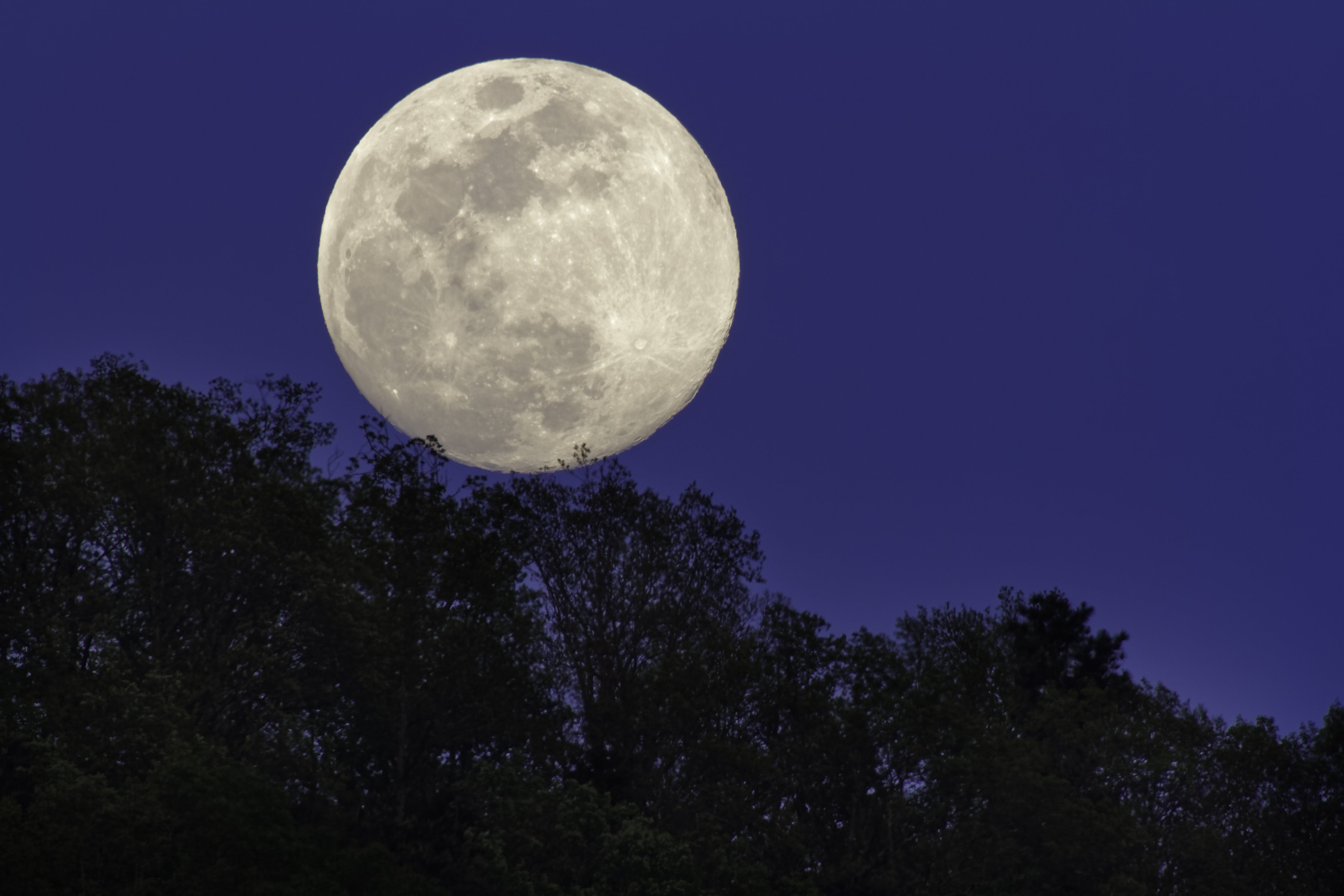 Полнолуние. Полнолуние 19.04 2021. Луна фото. Луна фото красивое. Луна полнолуние.