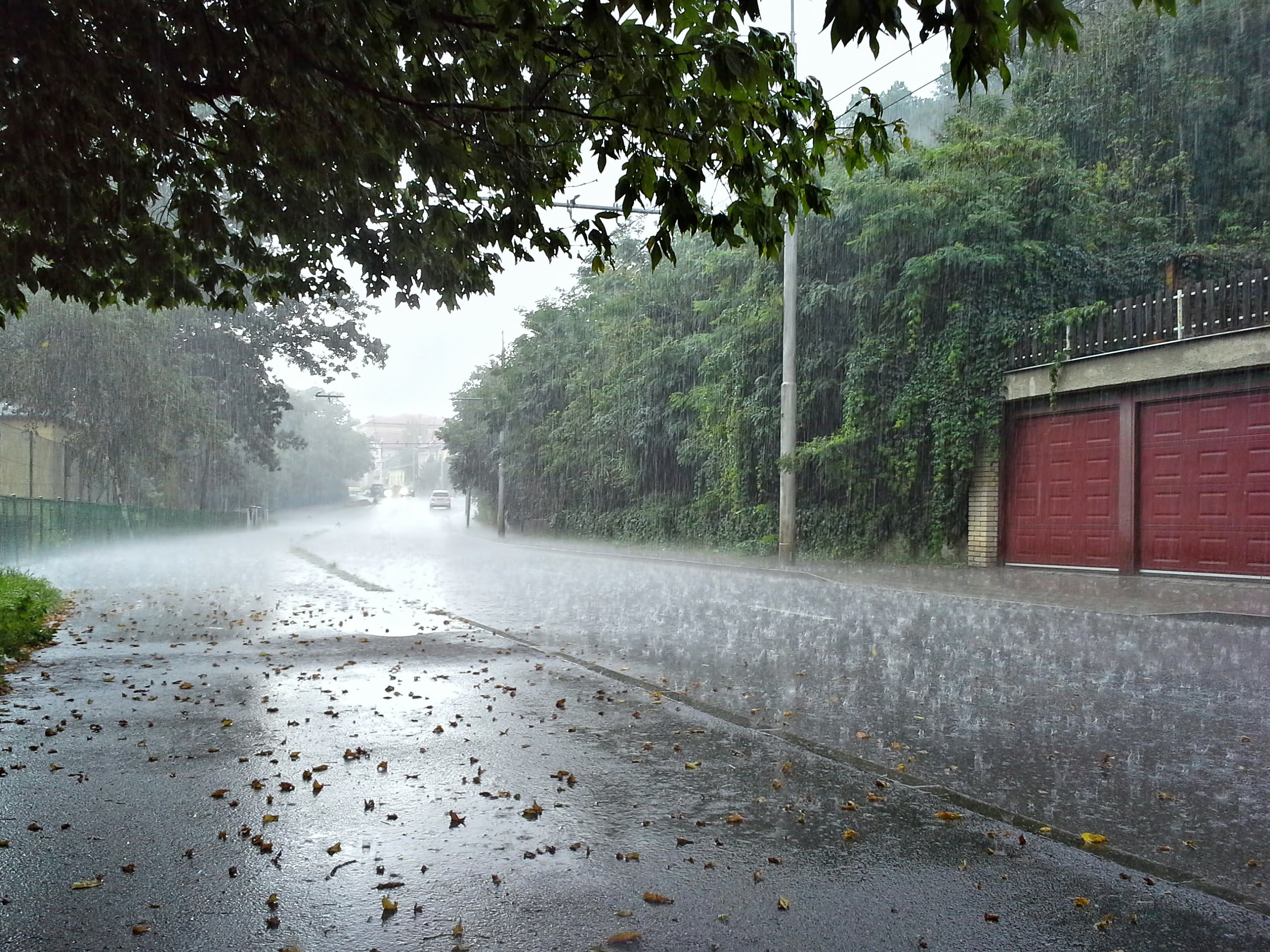 Тема дождливая погода. Дождь на улице. Дождливый день. Ливень. Ливневые дожди.