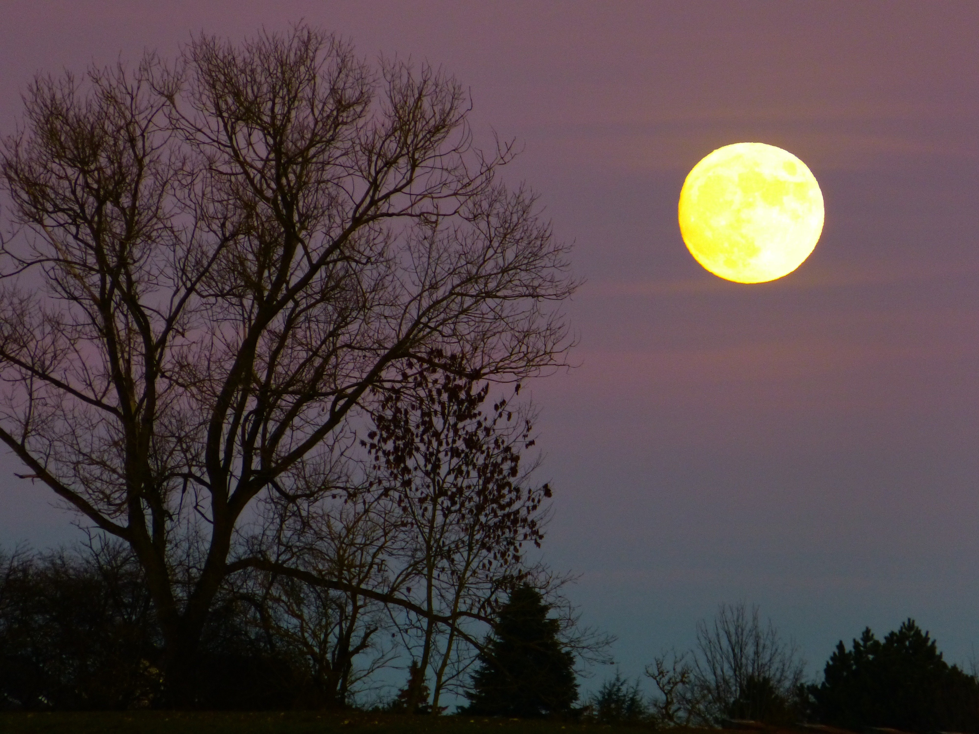 Восход луны в марте. Луна. Луна картинки. Полнолуние. Желтая Луна.