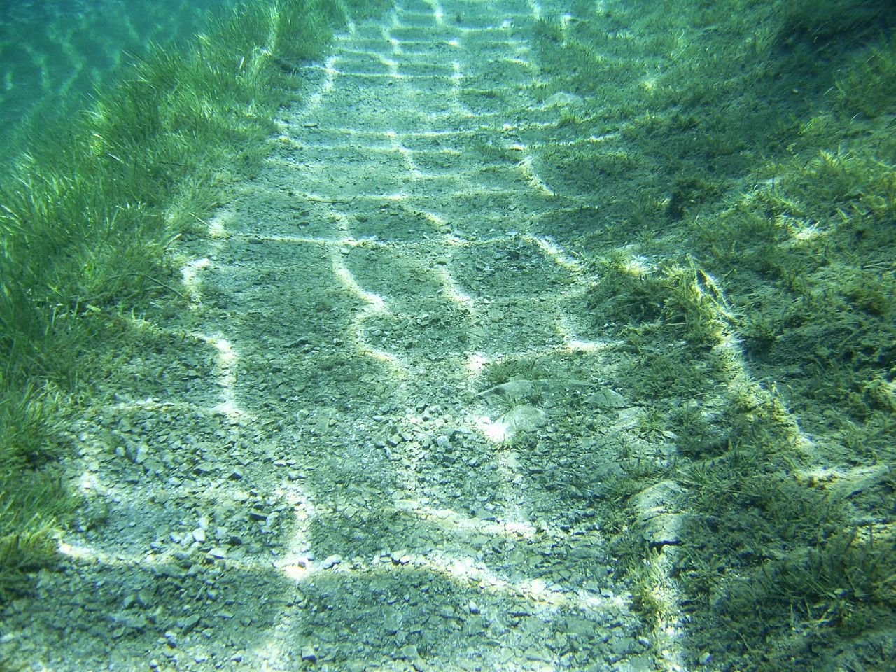 Ил фото в воде