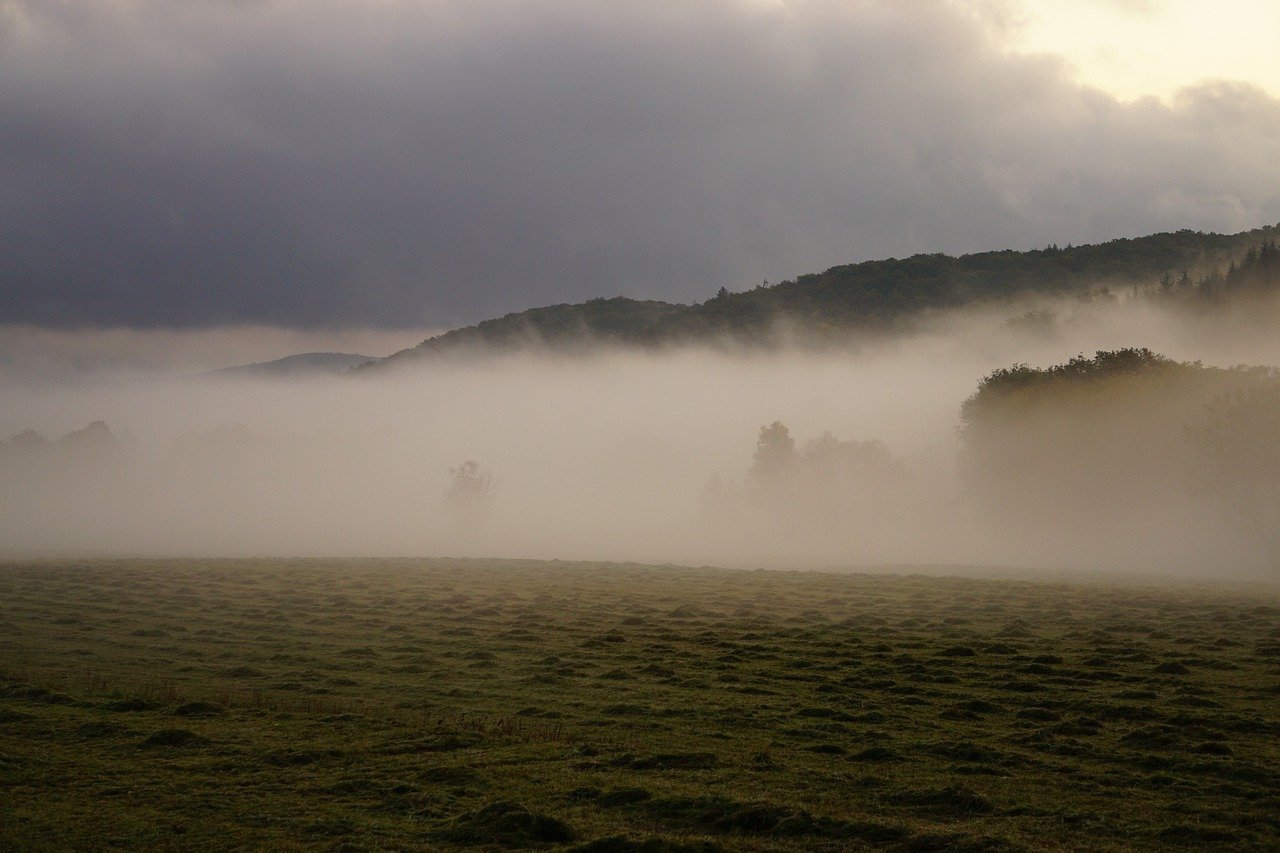 Туман над травой песня слушать. Сильный туман. Туманный пейзаж. Туман над водохранилищем. Сильный туман фото.