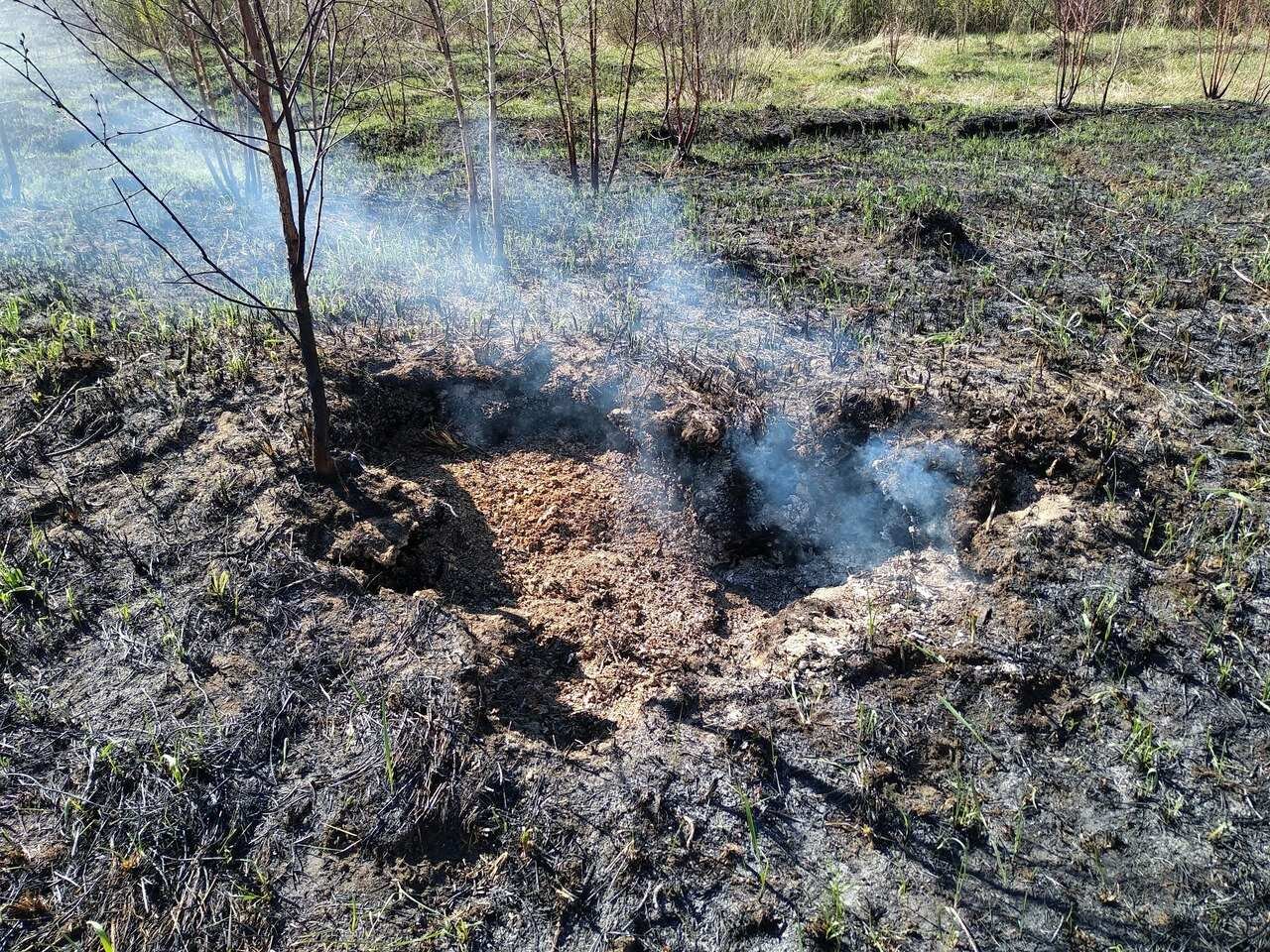 Обур вают чувства торф ное болото. Торфяник Торфяник. Торфяные пожары многоочаговые. Подземный торфяной пожар. Торфяные болота Рязань пожар.