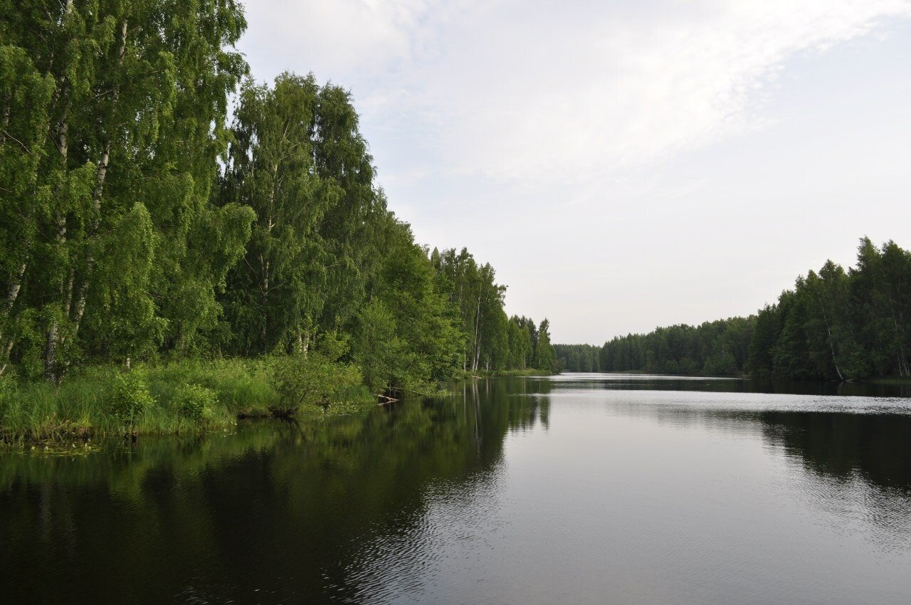 Дарвинский заповедник ярославской. Дарвинский заповедник Рыбинское водохранилище. Дарвинский государственный заповедник Вологодская область. Дарвинский заповедник ландшафт. Дарвинский биосферный заповедник Ярославль.