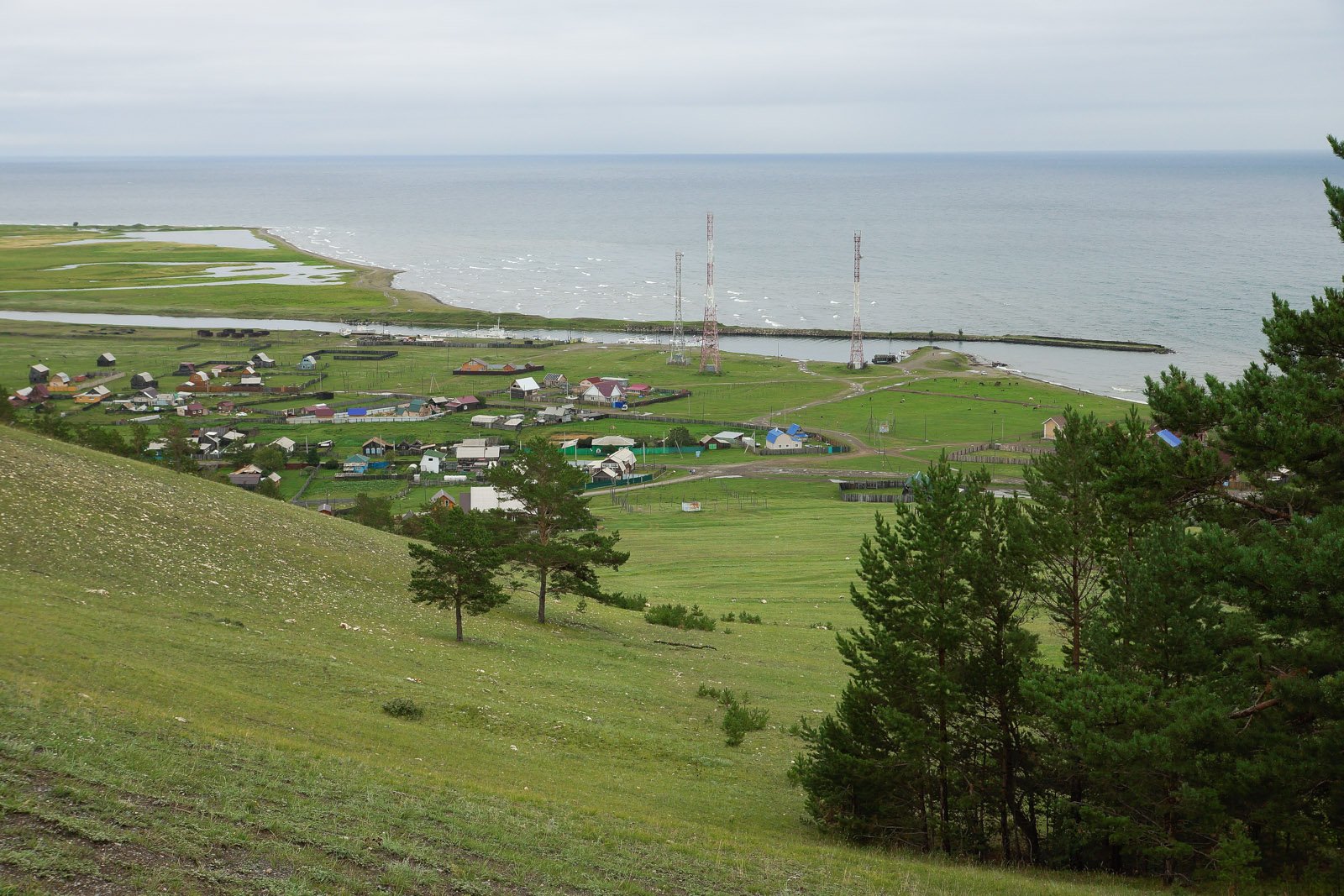 Большое голоустное байкал фото