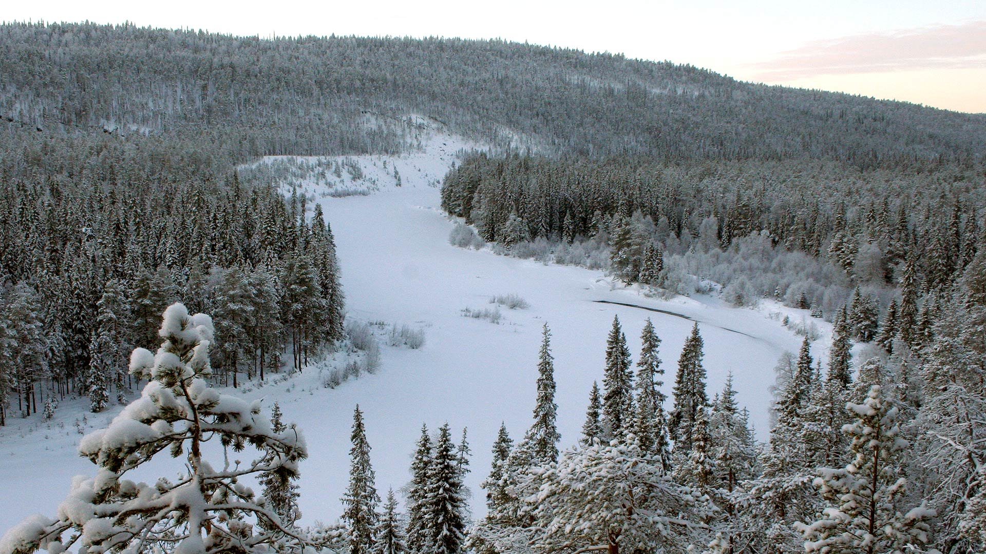 Зимняя температура в тайге. Зимняя Тайга Якутии. Сибирская Тайга Восточная Сибирь зима. Саянская Тайга зимой. Простор сибирской реки хвойный лес.