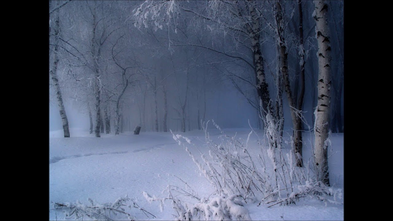 В холодные зимы в метели. Метель. Метель в лесу. Снегопад метель. Вьюга в лесу.