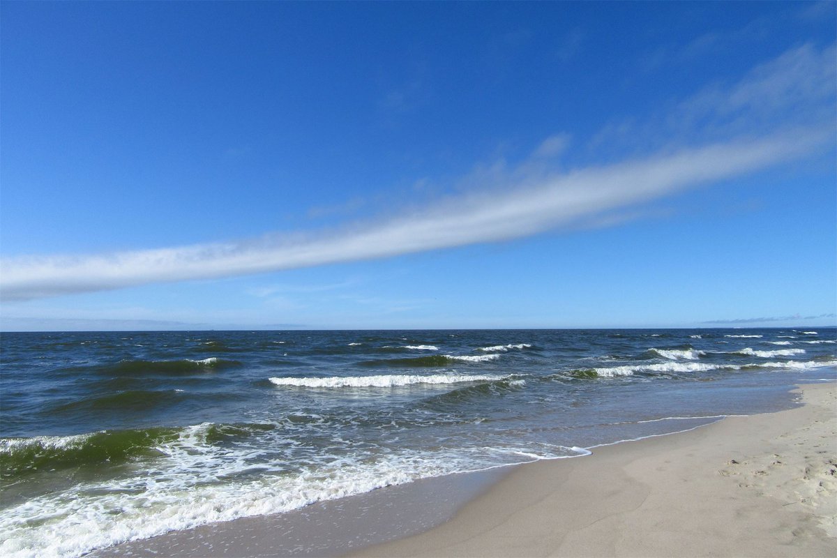 Балтийский берег картинка