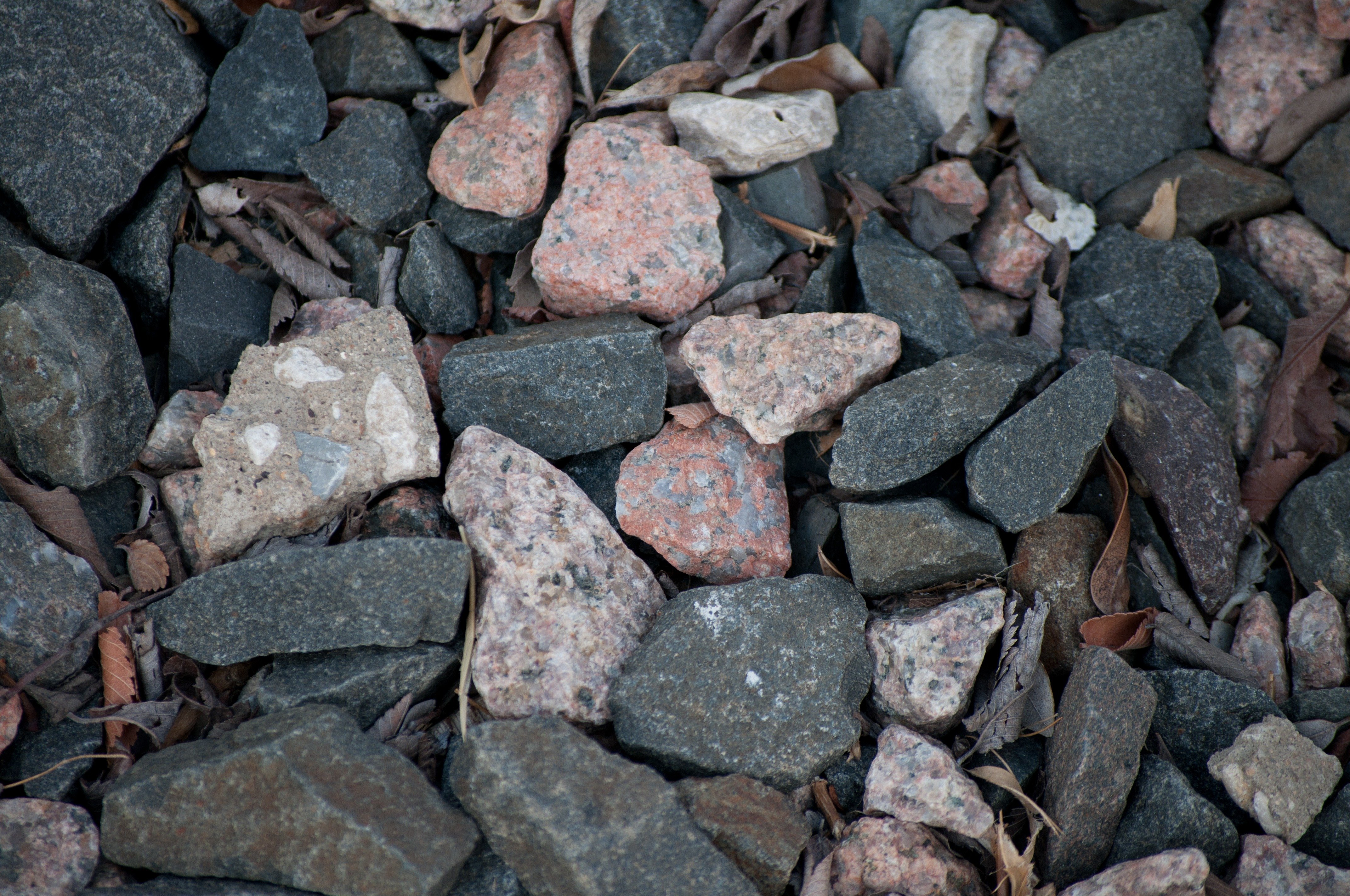 Почему камни серые. Горные камни серого цвета. Серый камень в природе. Серый булыжник порода. Цвет серый камень.