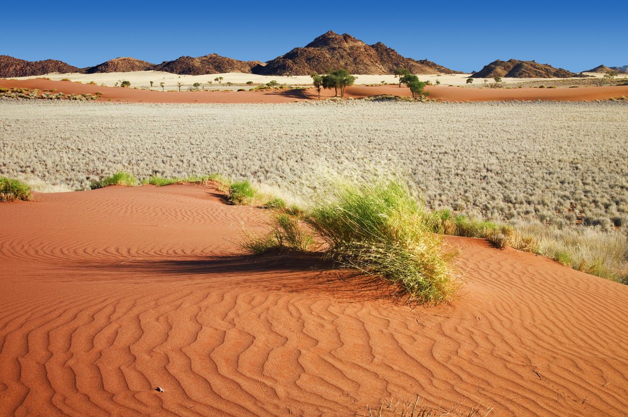 Your desert. Пустыни Аравийского полуострова. Оазис в пустыне Аравии. Оазис на Аравийском полуострове. Оазисы в пустыне на Аравийском полуострове.