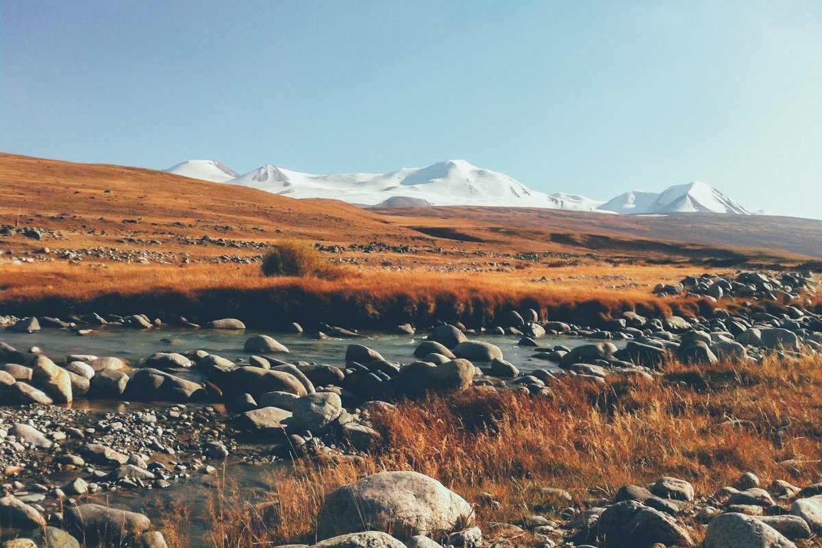 Плато Укок горный Алтай фото