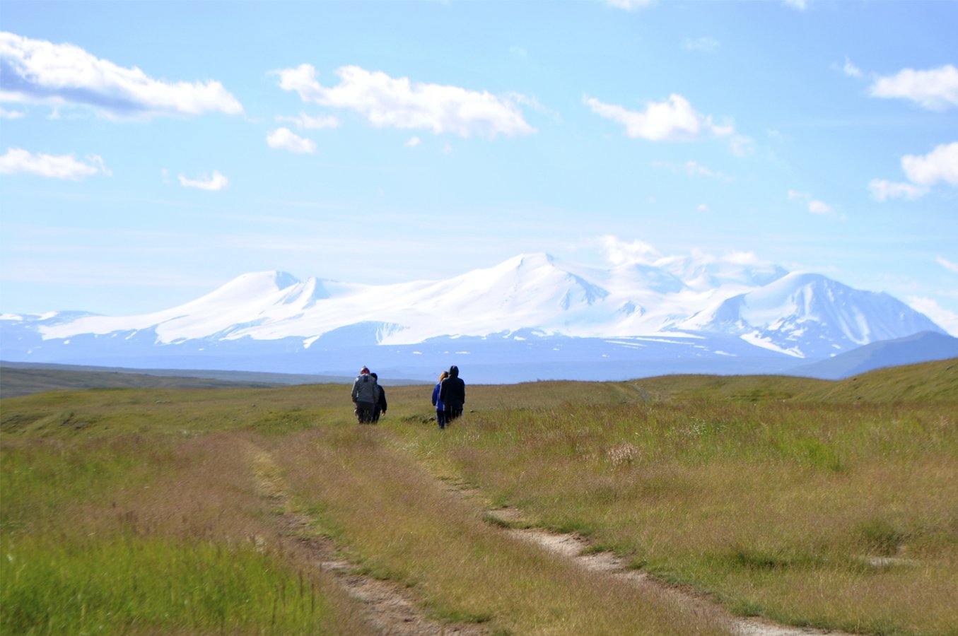 Плато Укок горный Алтай фото