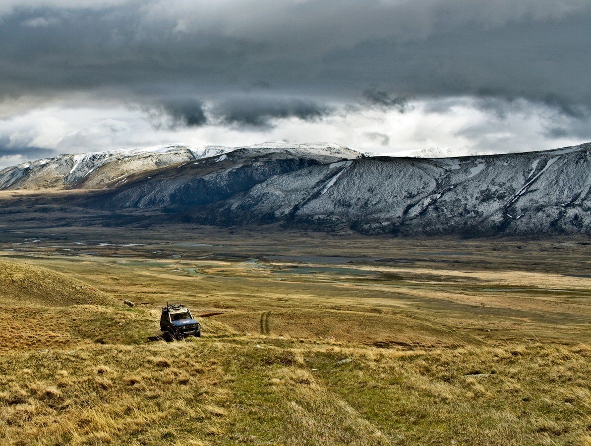 Плато Укок горный Алтай фото