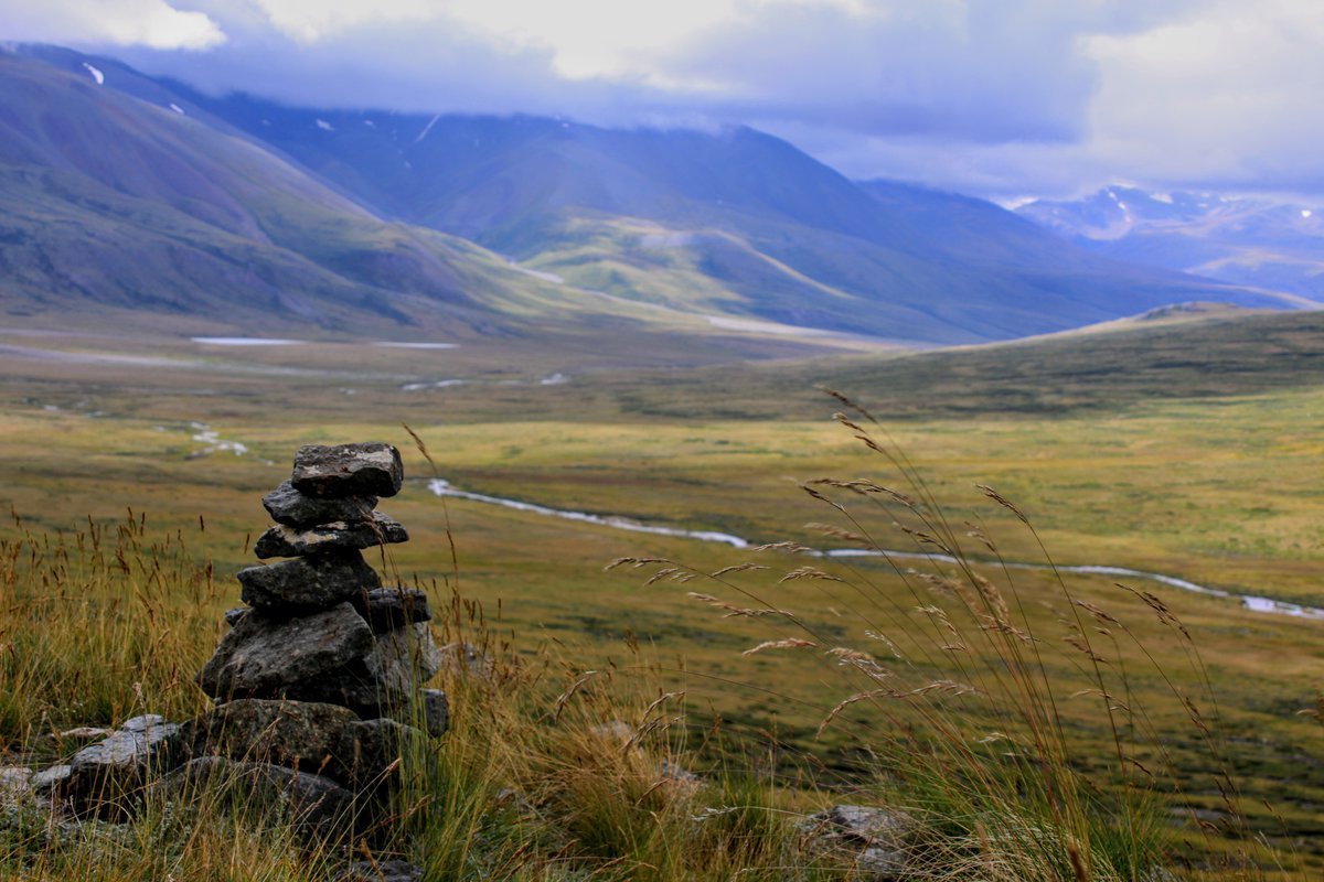 Плато укок горный алтай фото